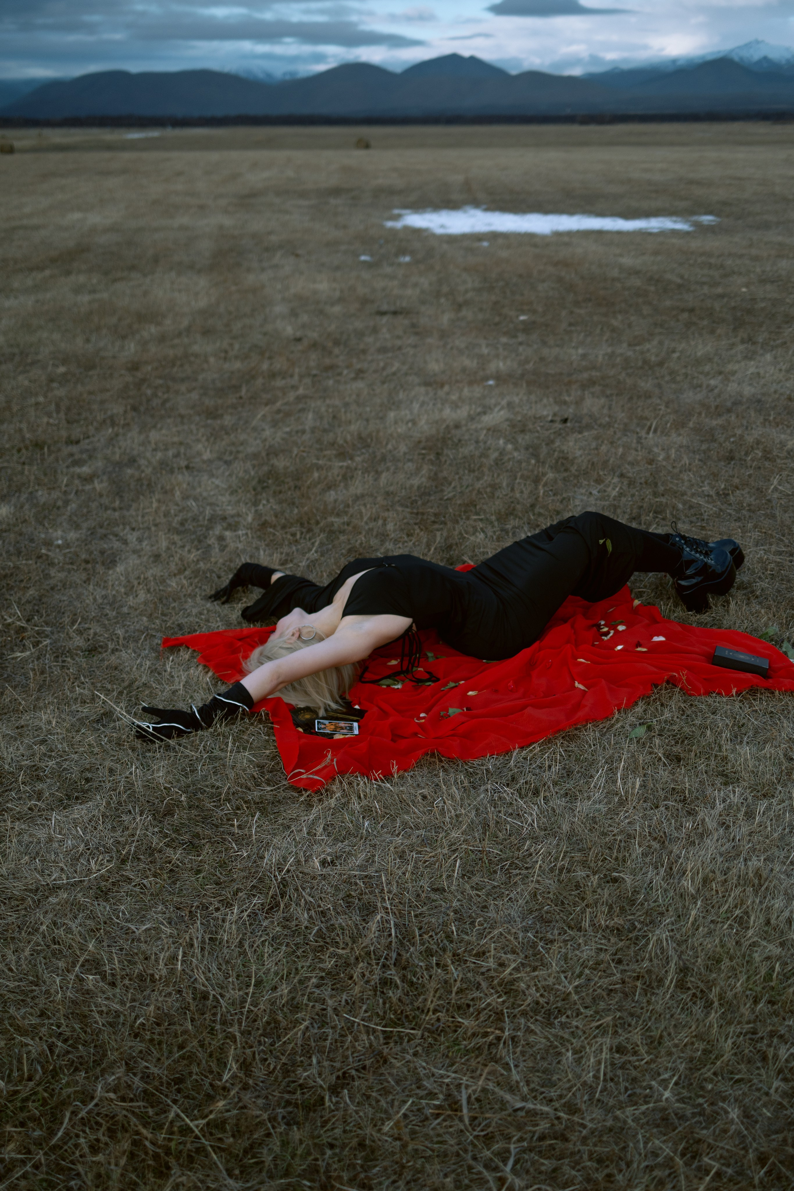 Алина. Свадебный фотограф в Петропавловске-Камчатском Артур Зябов