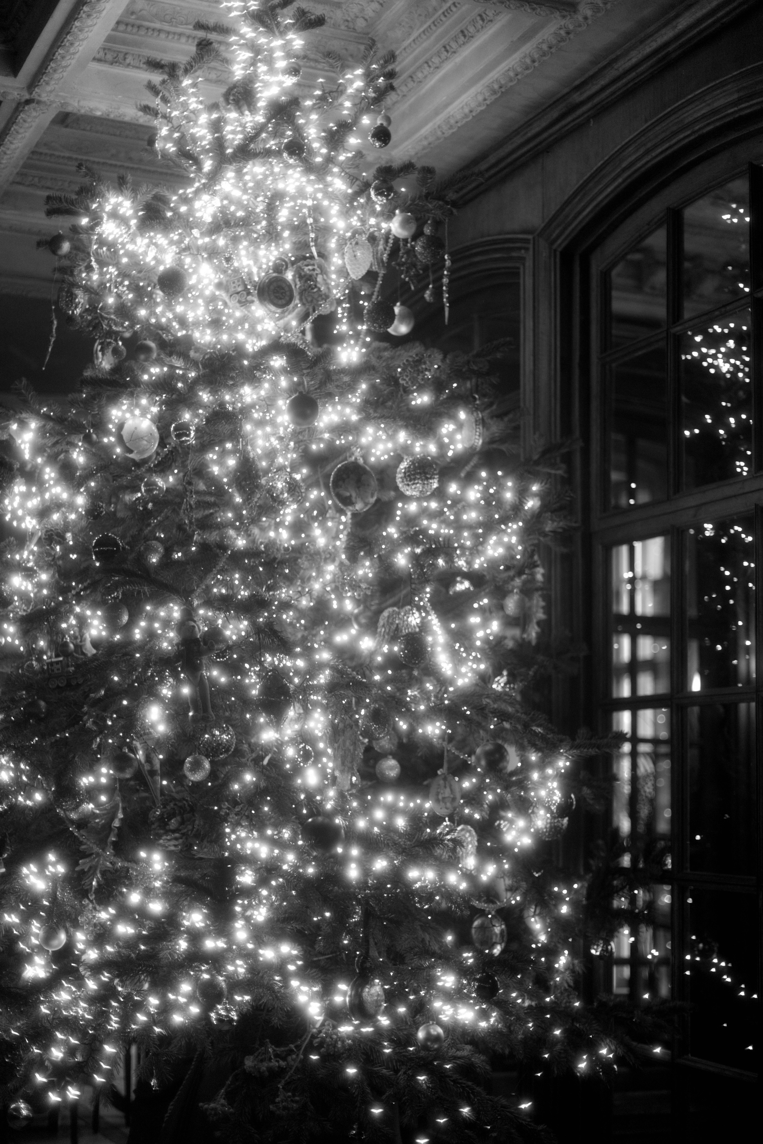 Анастасия. Свадебный фотограф в Москве и в Санкт-Петербурге