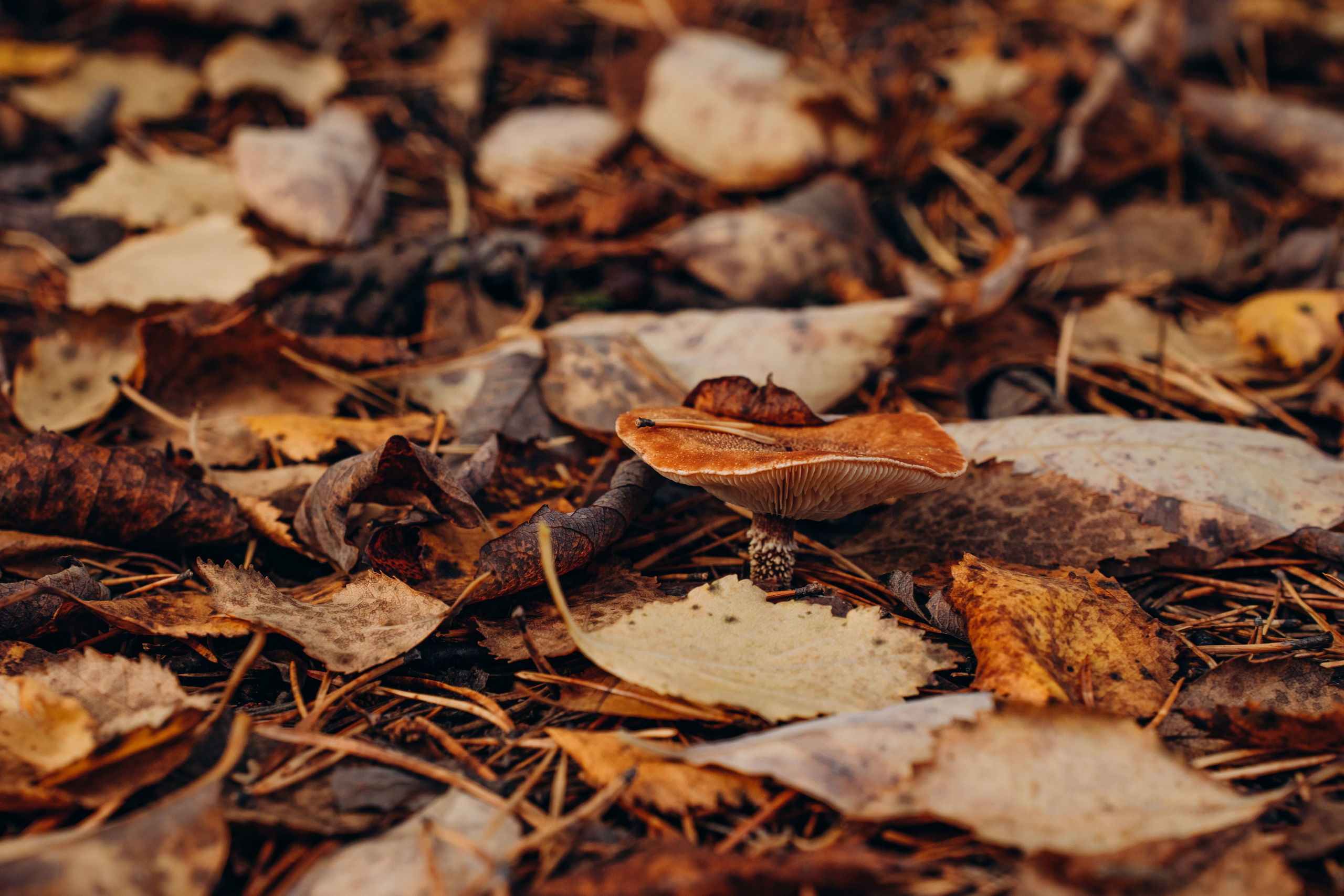 СЕВЕР. Event фотограф Степанова Александра