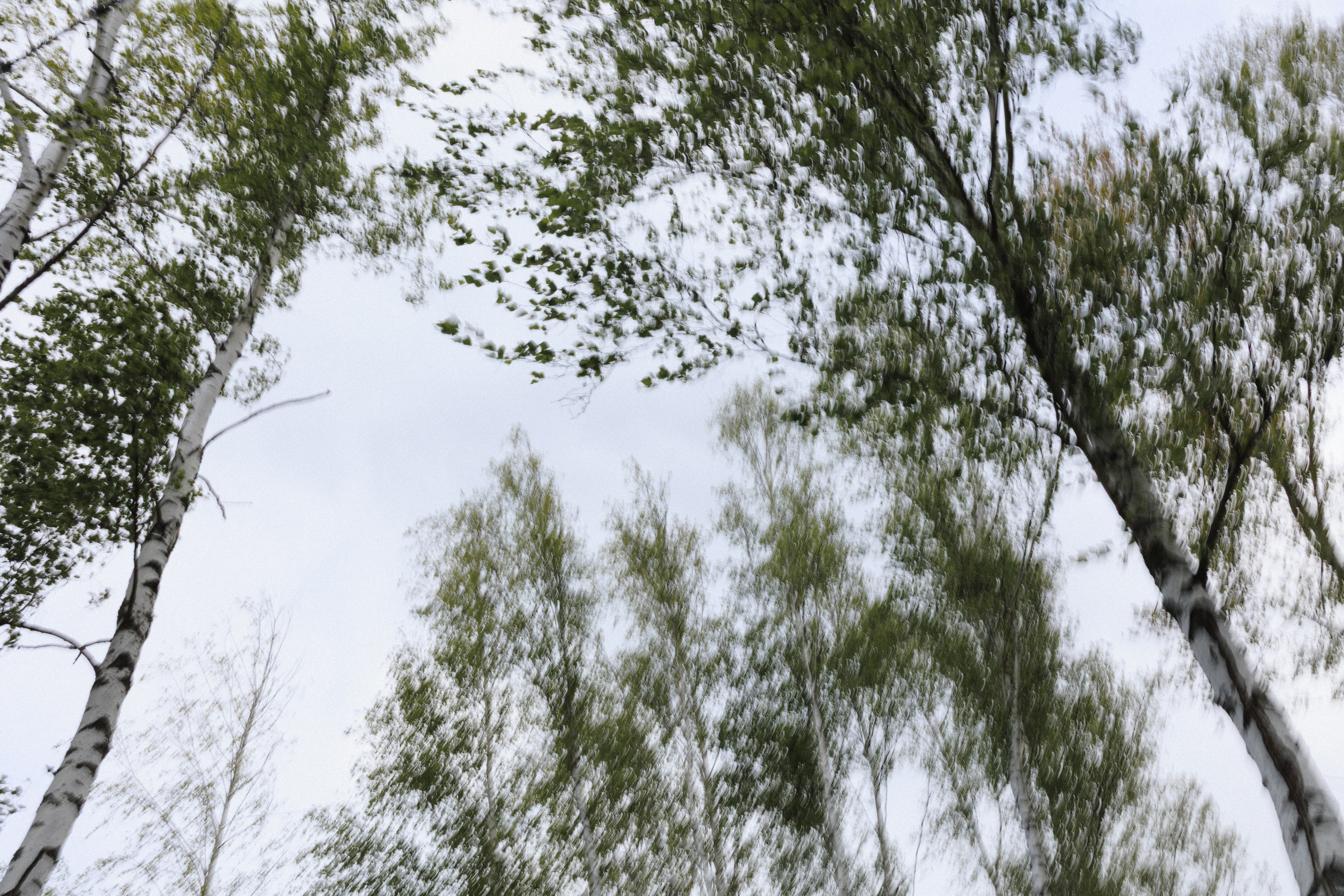 Валик & Настя | Gender Party. Свадебный фотограф в Минске Владислав Бабич