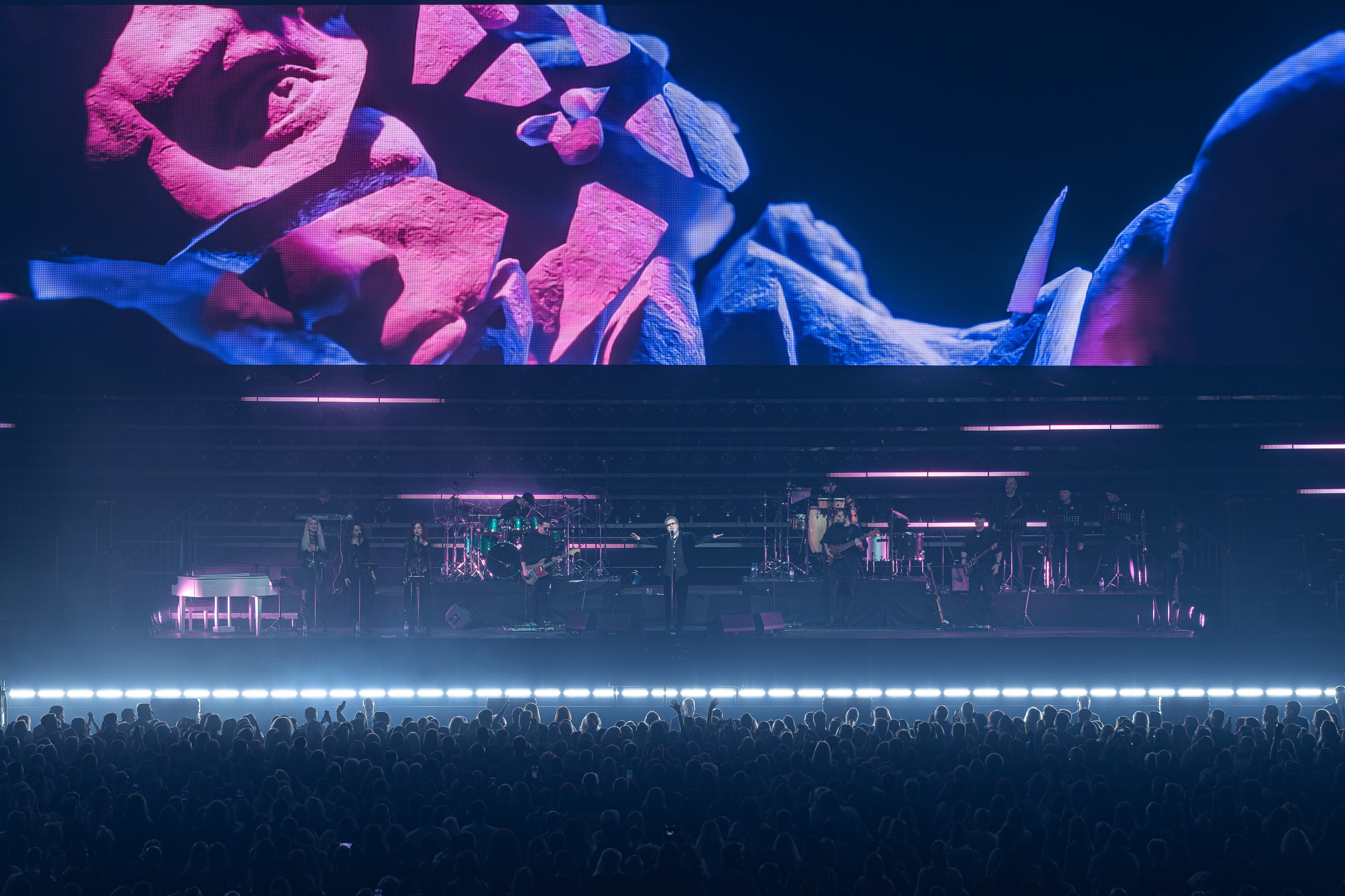 ВЛАДИМИР ПРЕСНЯКОВ / 2024. OOPS