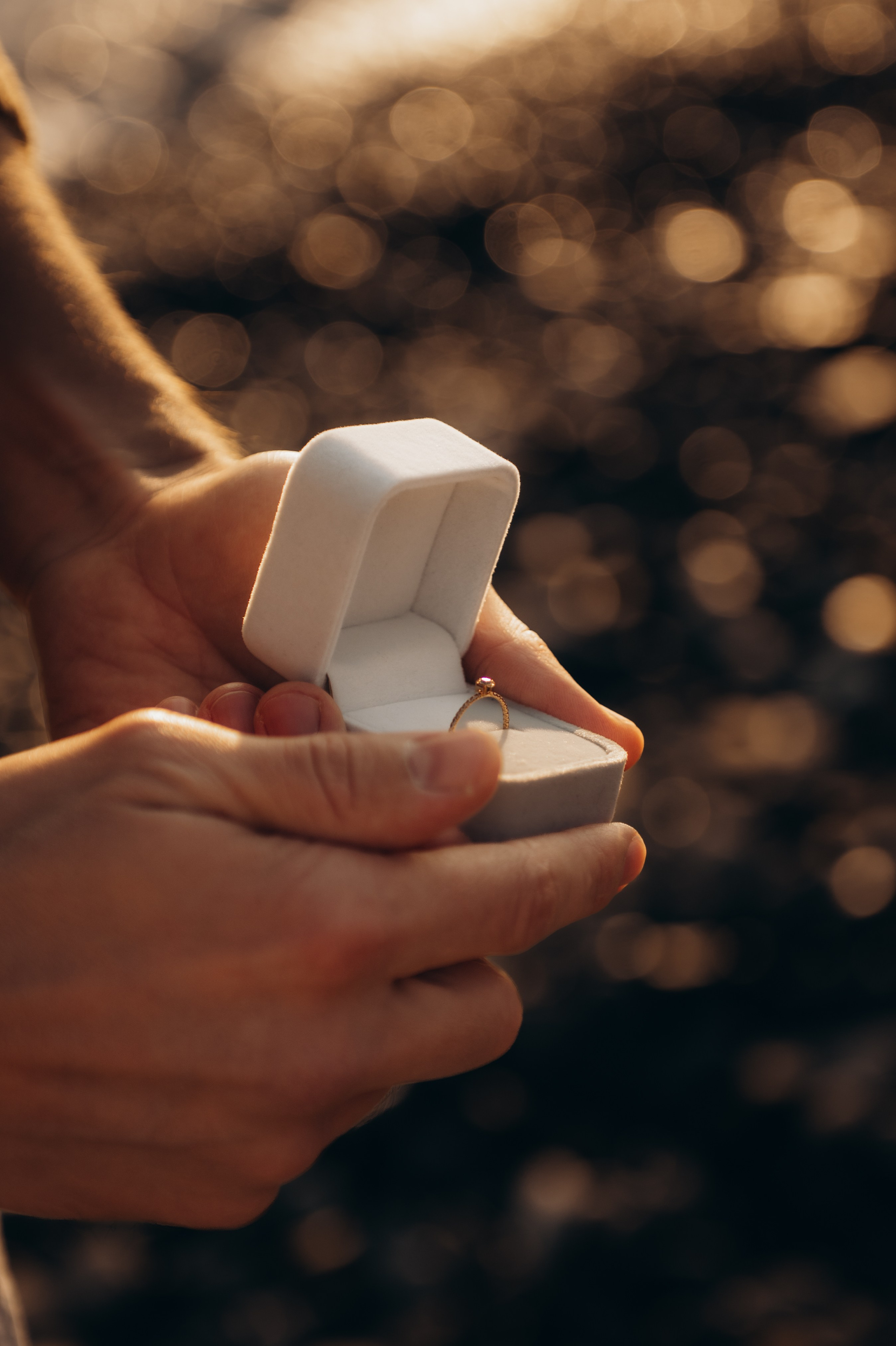 Анастасия и Даниил (предложение). Аплас Анастасия