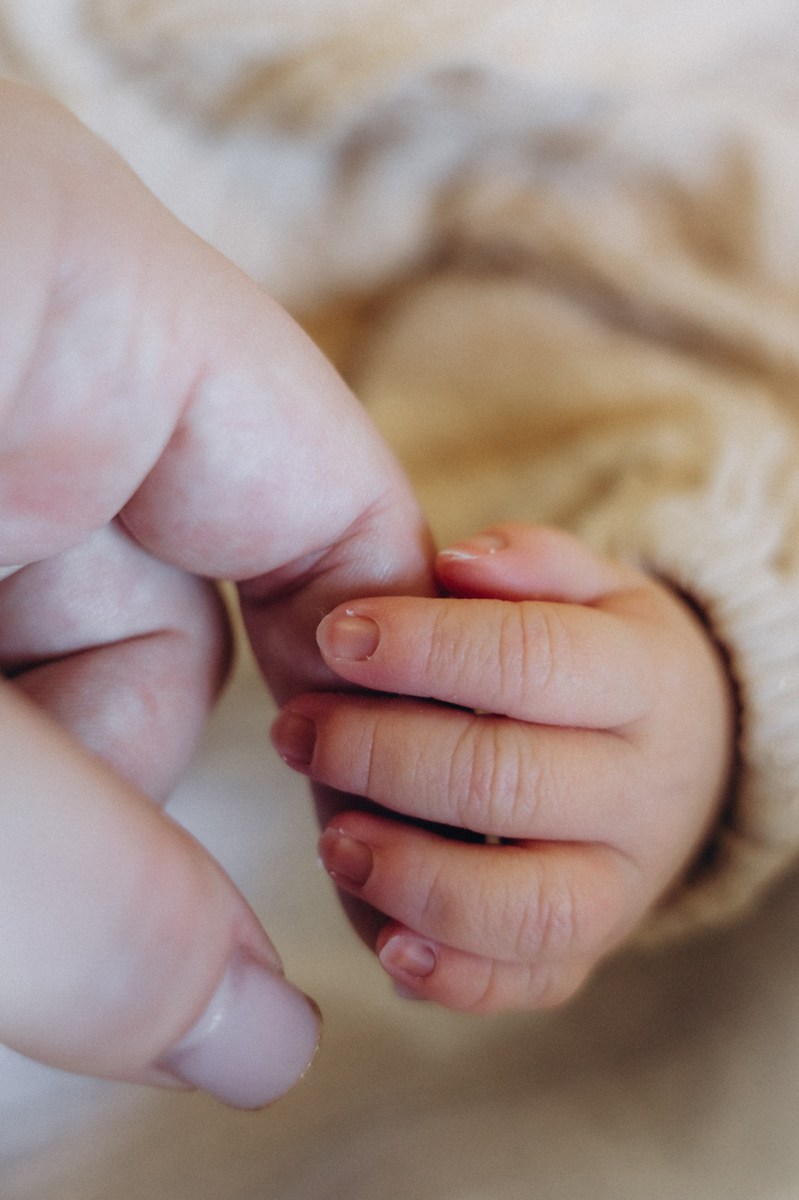 Вика и Дима. Аплас Анастасия