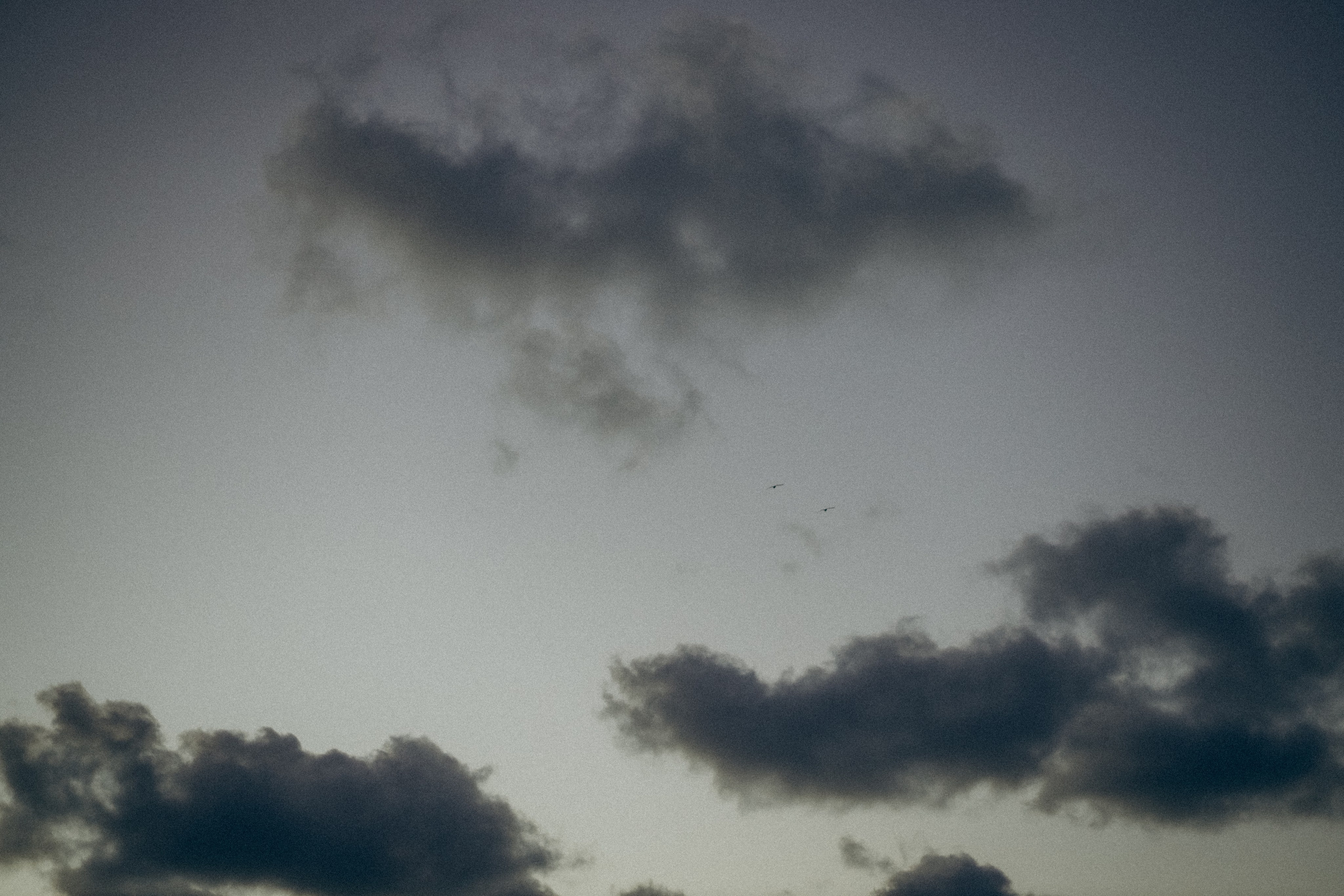 Валерия и Борис. Семейный фотограф Анапа