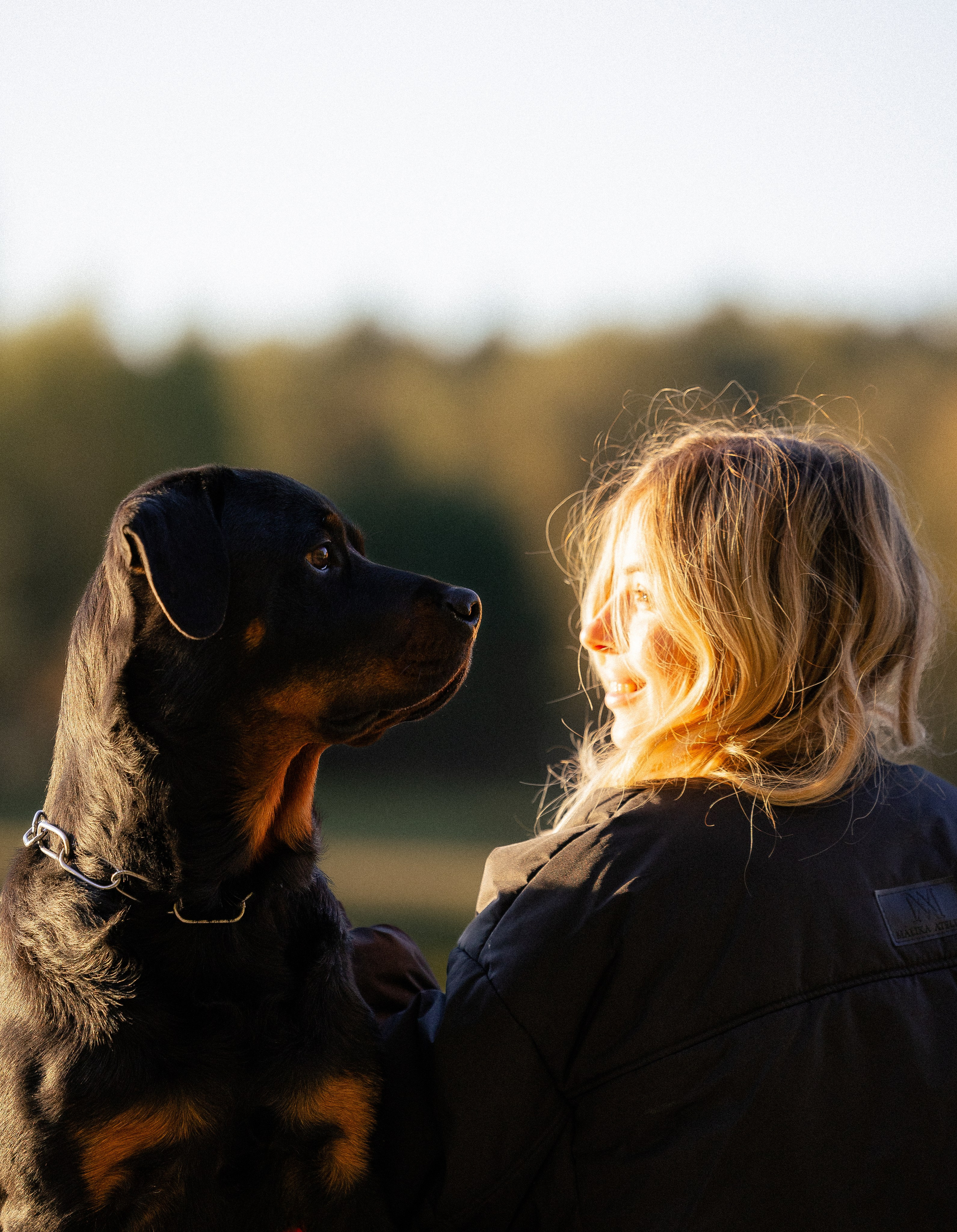 Катя, Леша, Лея и Трой. Фотограф и видеограф анималист Аганина Дарья