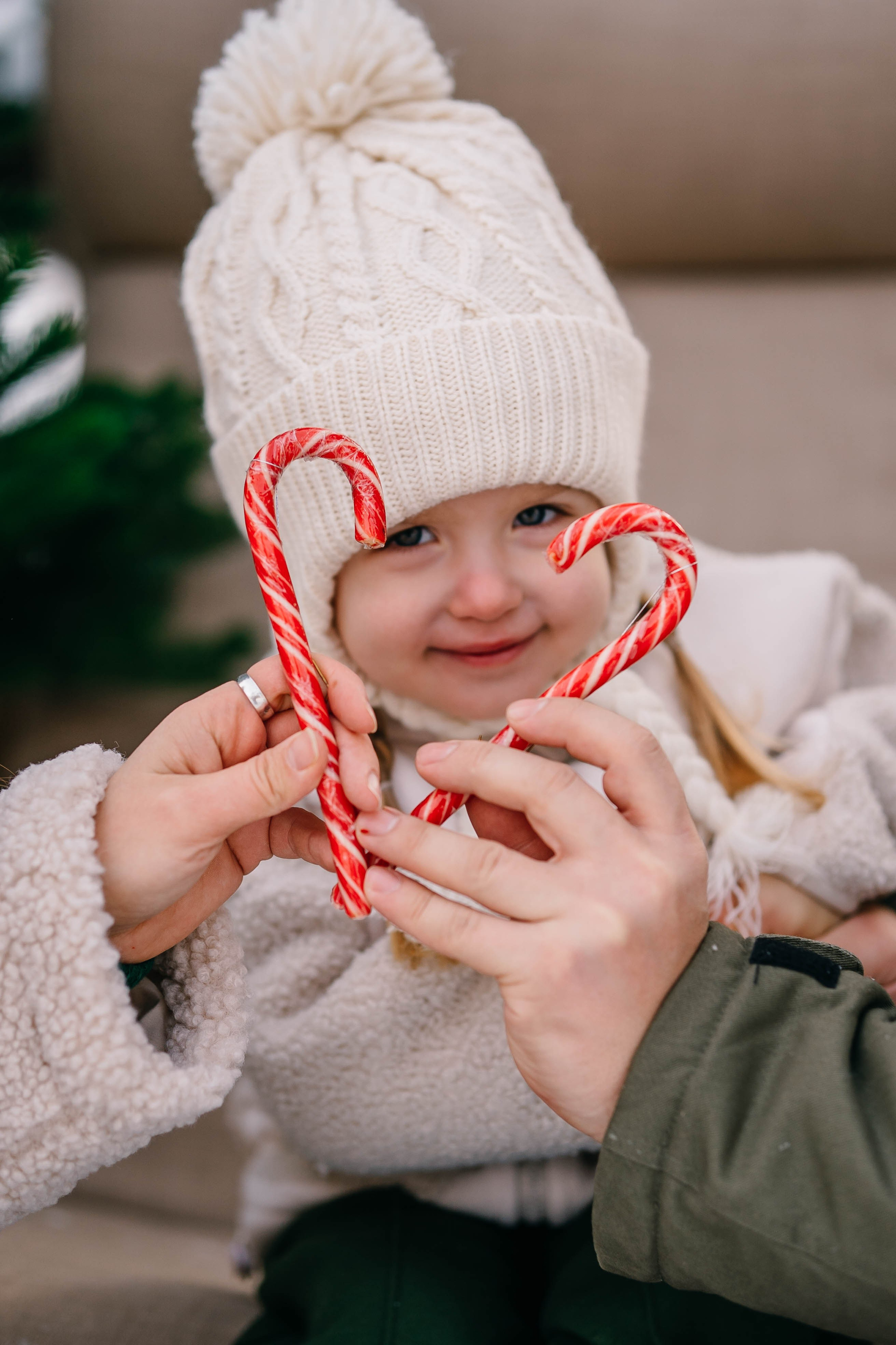 Зимняя сказка в Сосновом лесу. Фотограф Сергей Логинов