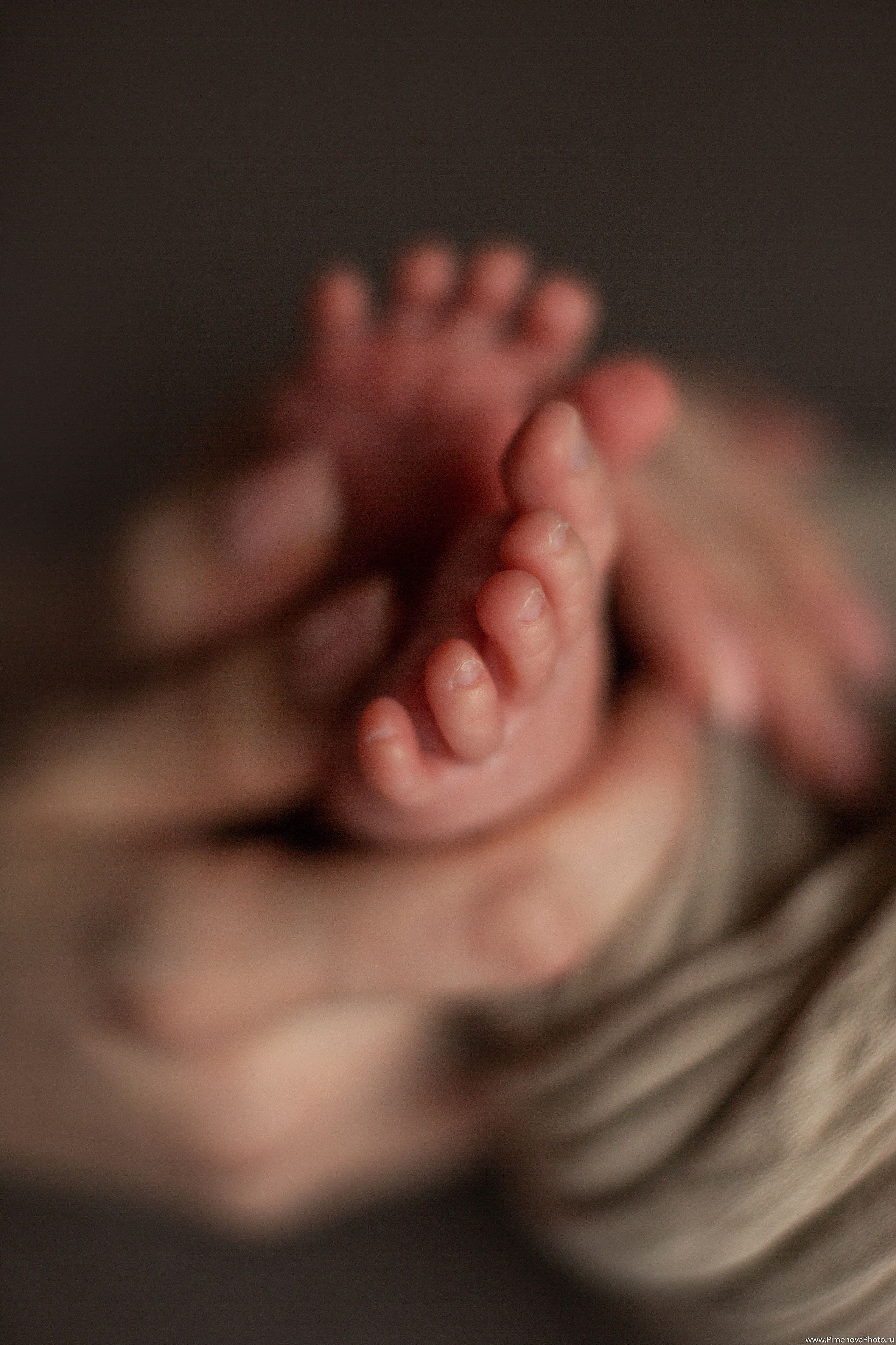 Истории. Семейный и детский фотограф в Петрозаводске