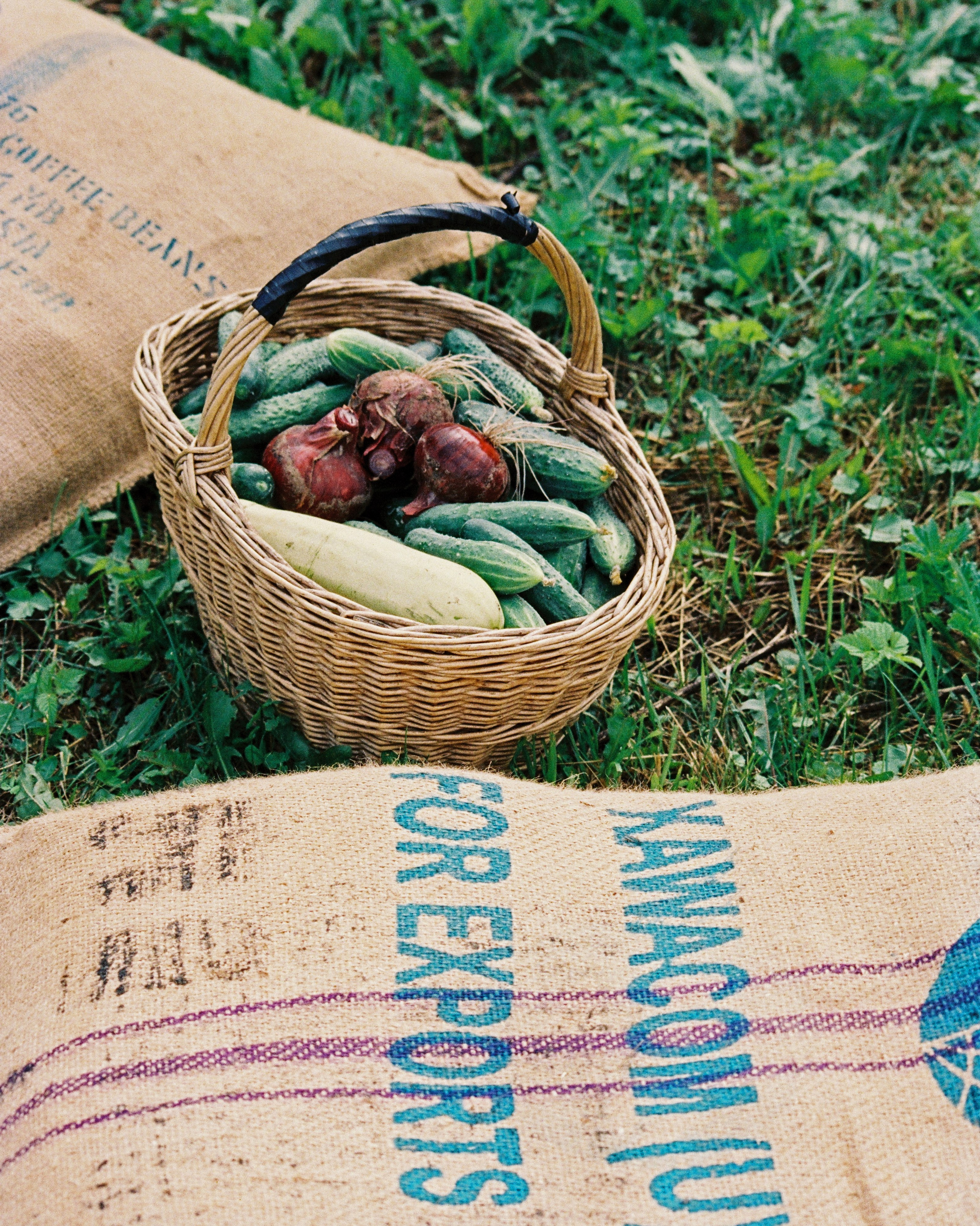 PODMOKLOVO. ANNA — PHOTOGRAPHER