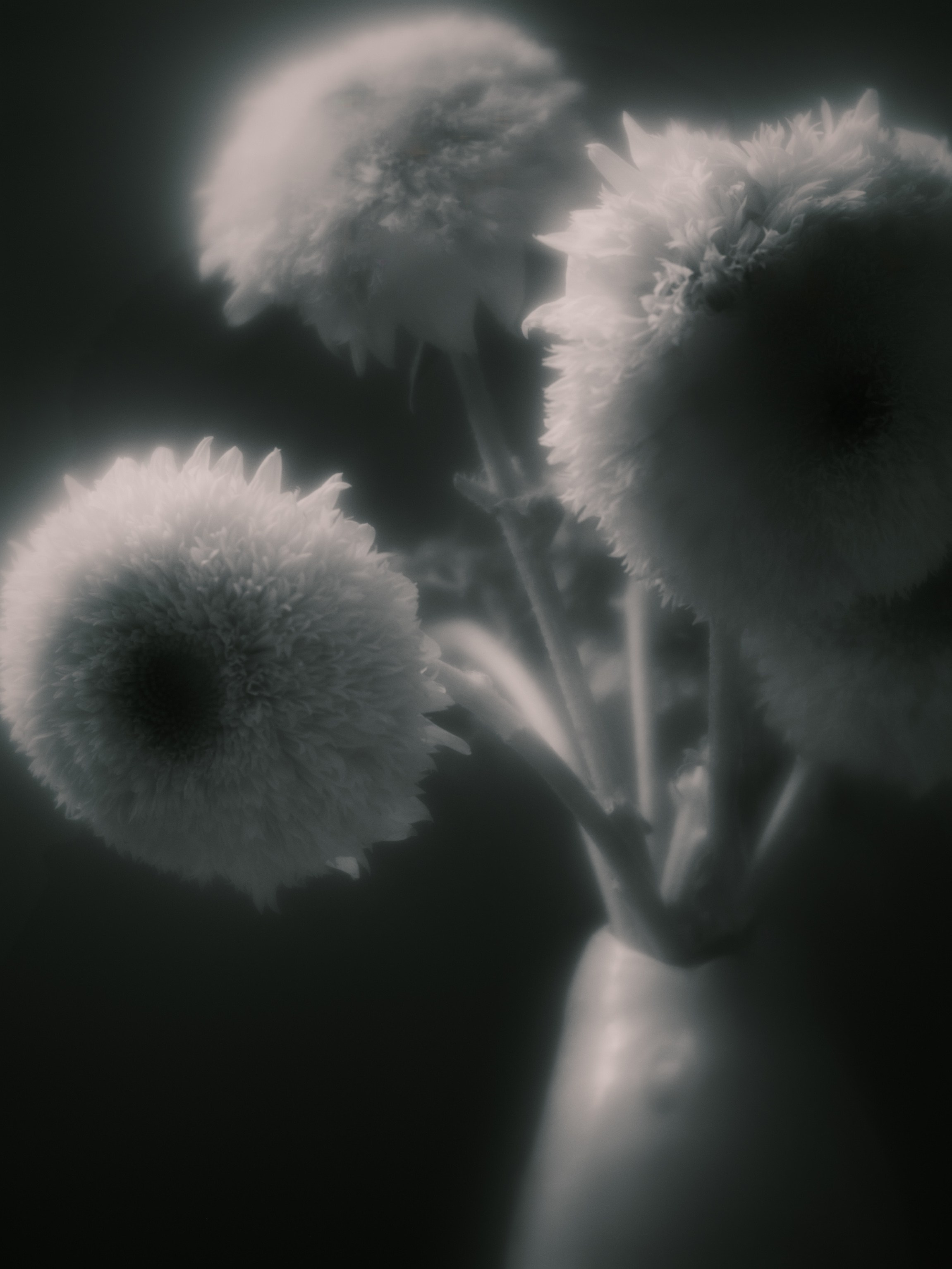 Фотограф Юлия Глазкова