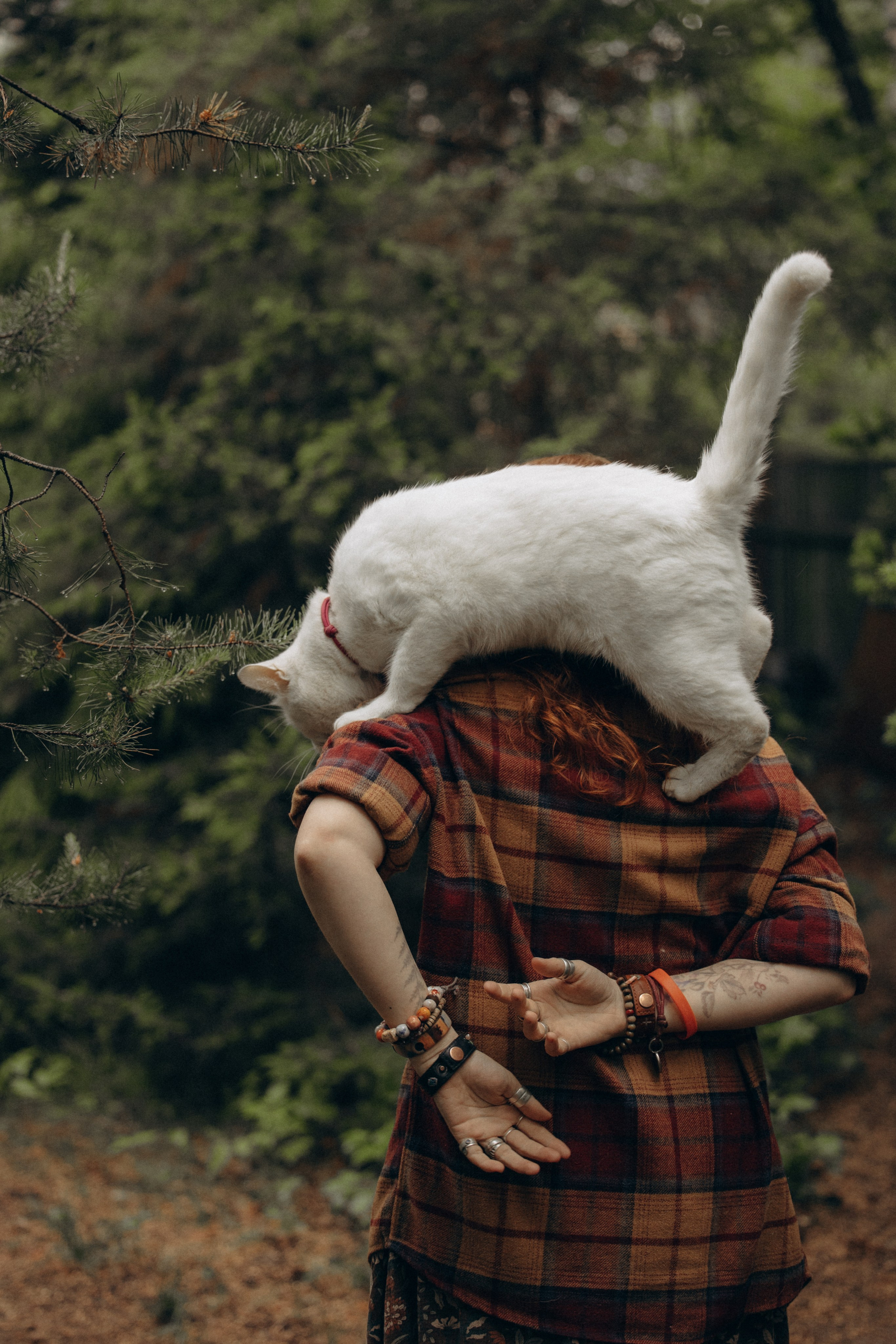Настасья и кот Шалфей. Фотограф анималист в Казани Алина Сулейманова. Фотограф животных