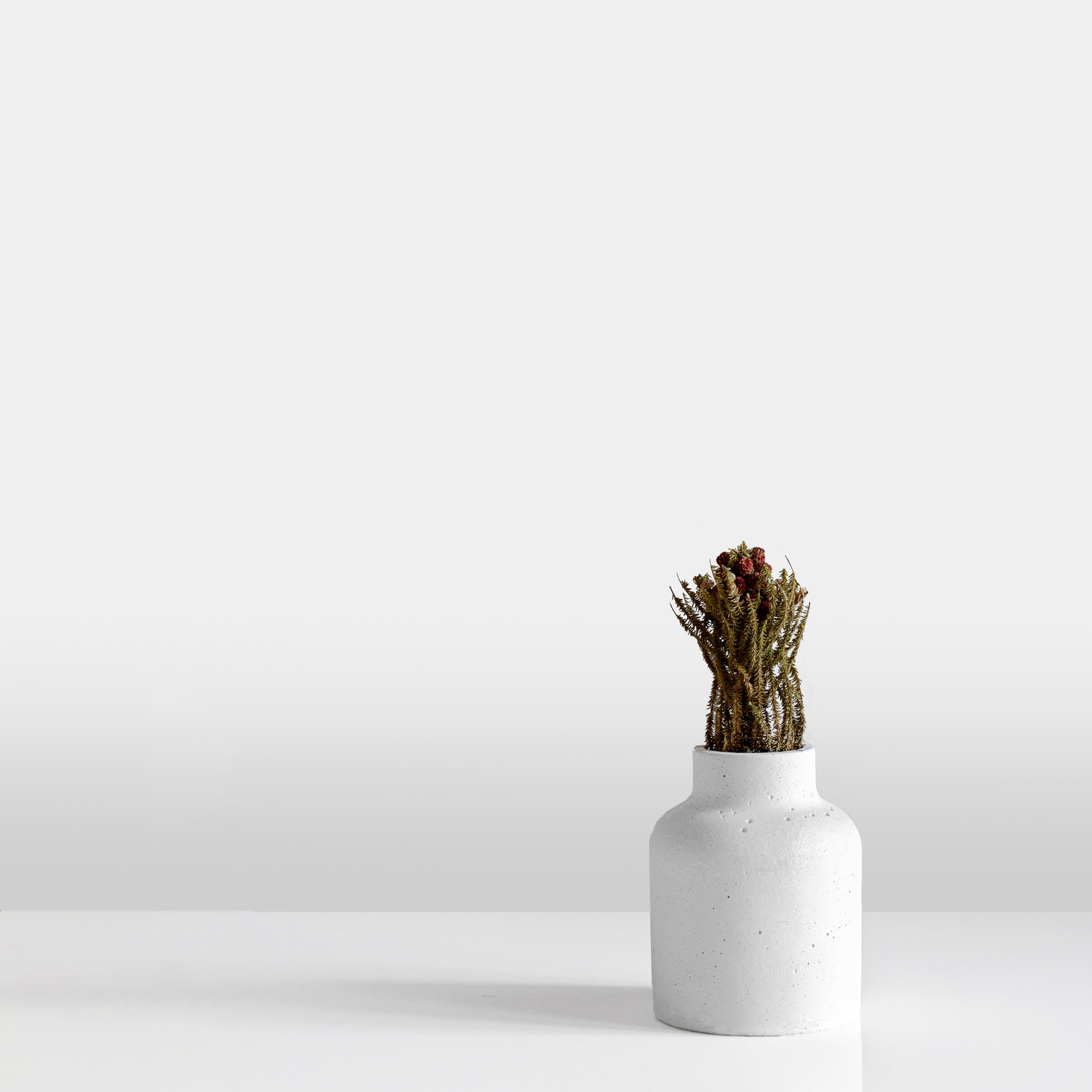 VASE. SHONGIN SERGEI