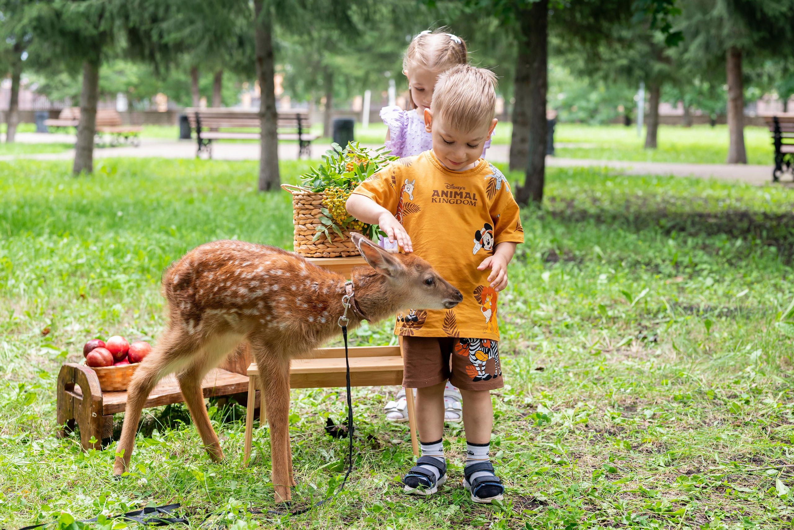 Фотопроект *Оленёнок Бэмби*. Фотограф в городе Салават