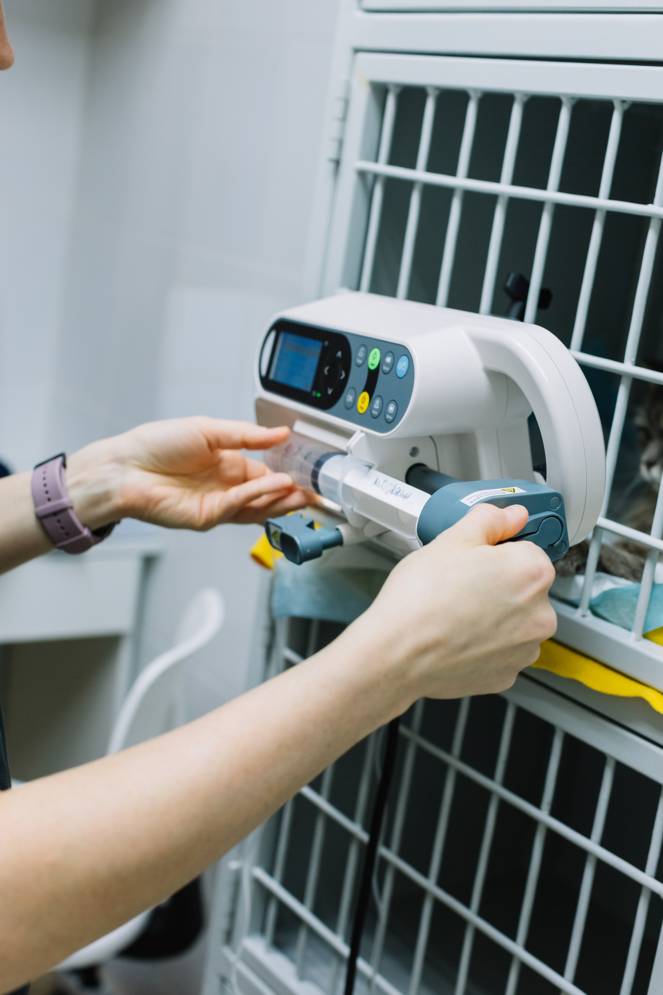 Контент съёмка. Семейный и детский фотограф в Новосибирске Алёна Малахова