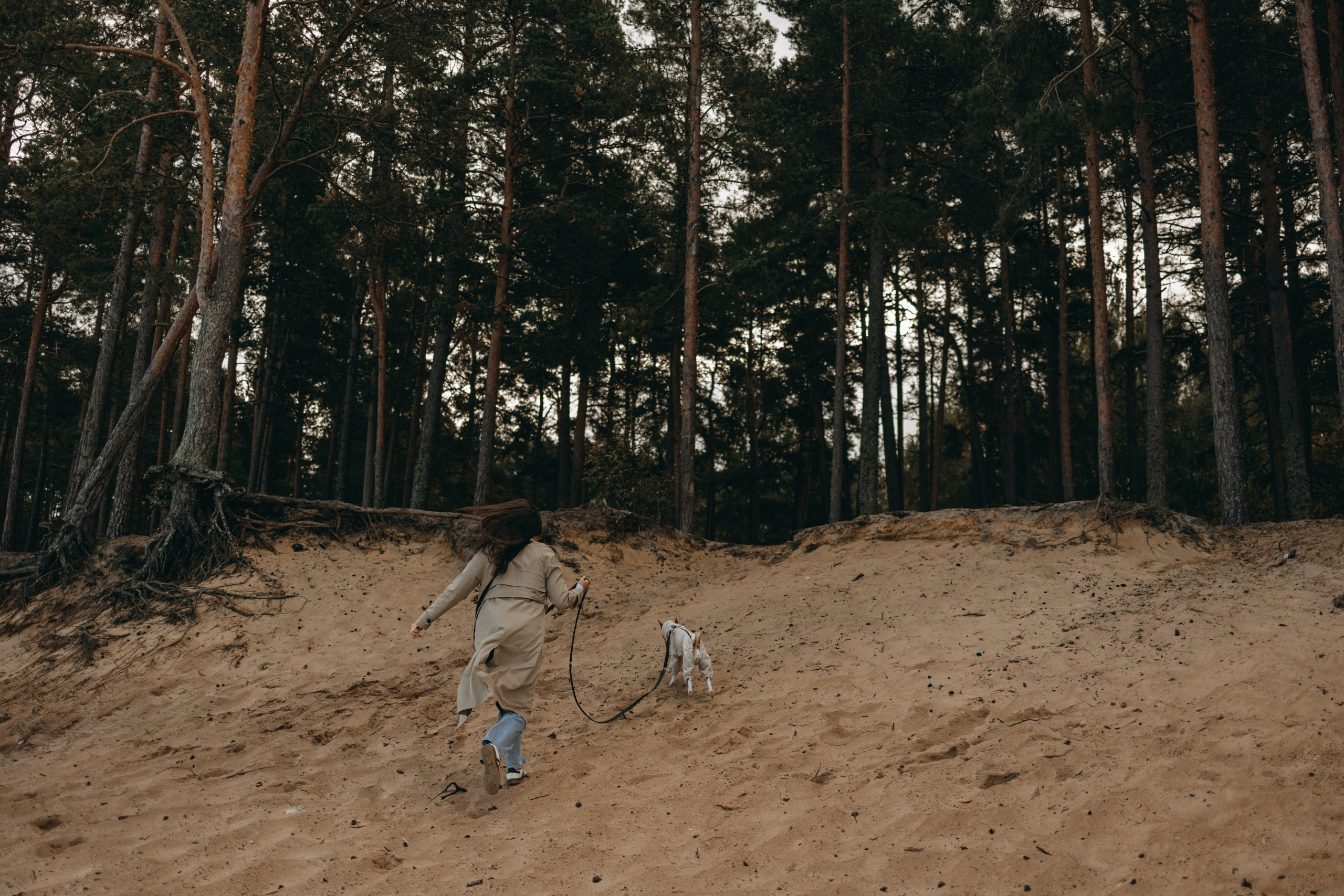 Алиса и Лео. Фотограф — Анималист | Санкт-Петербург