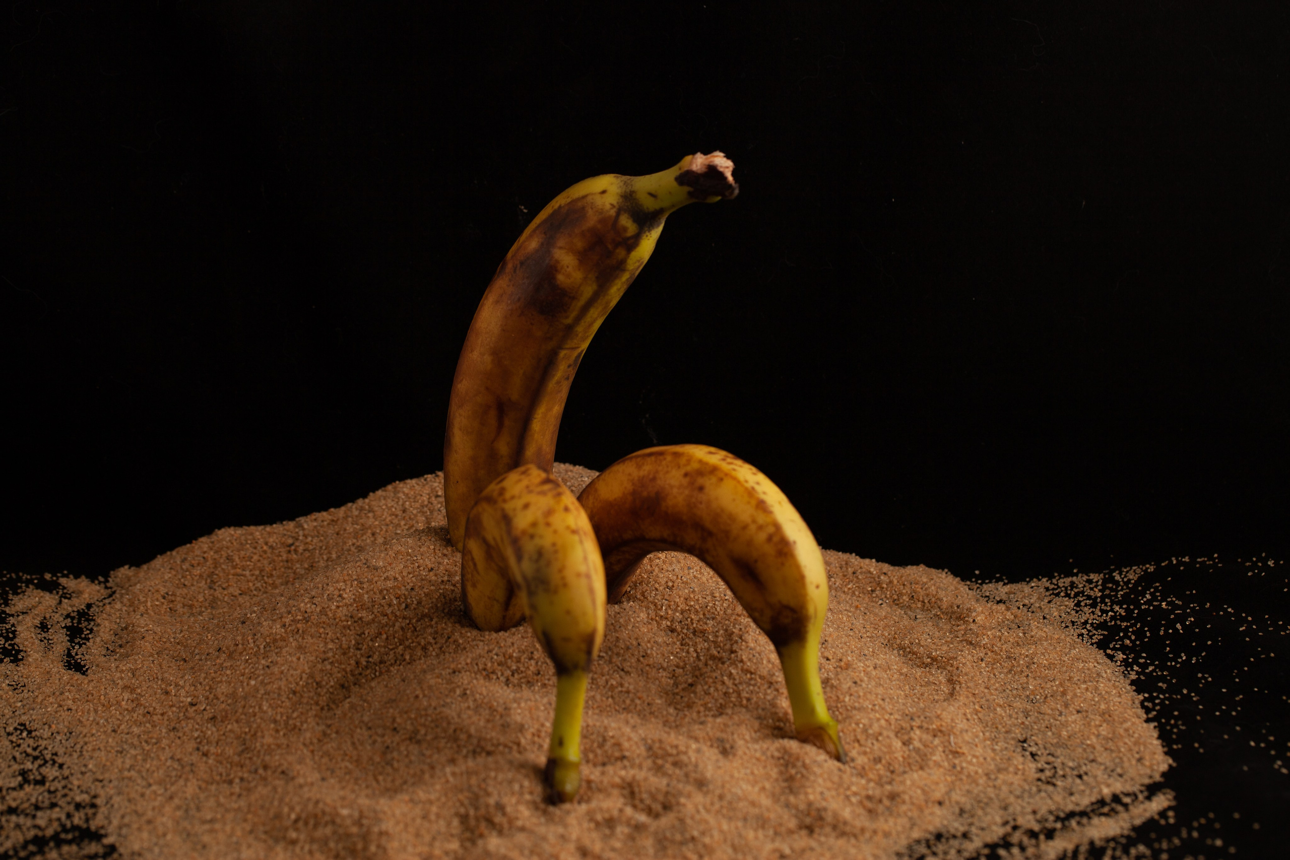 Бананы и тыквы в фотоискусстве. Медиапродюсер, фотограф в Минеральных Водах —Виктор Холодов