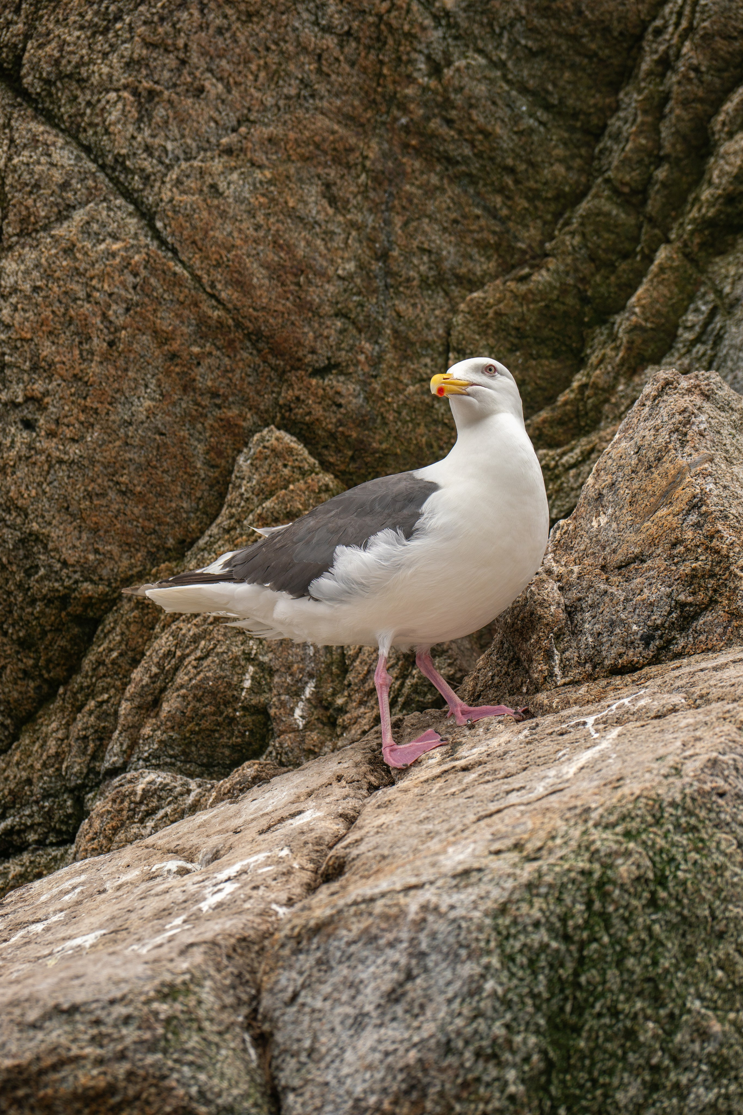 Сахалин. Gusarov Travel Photography