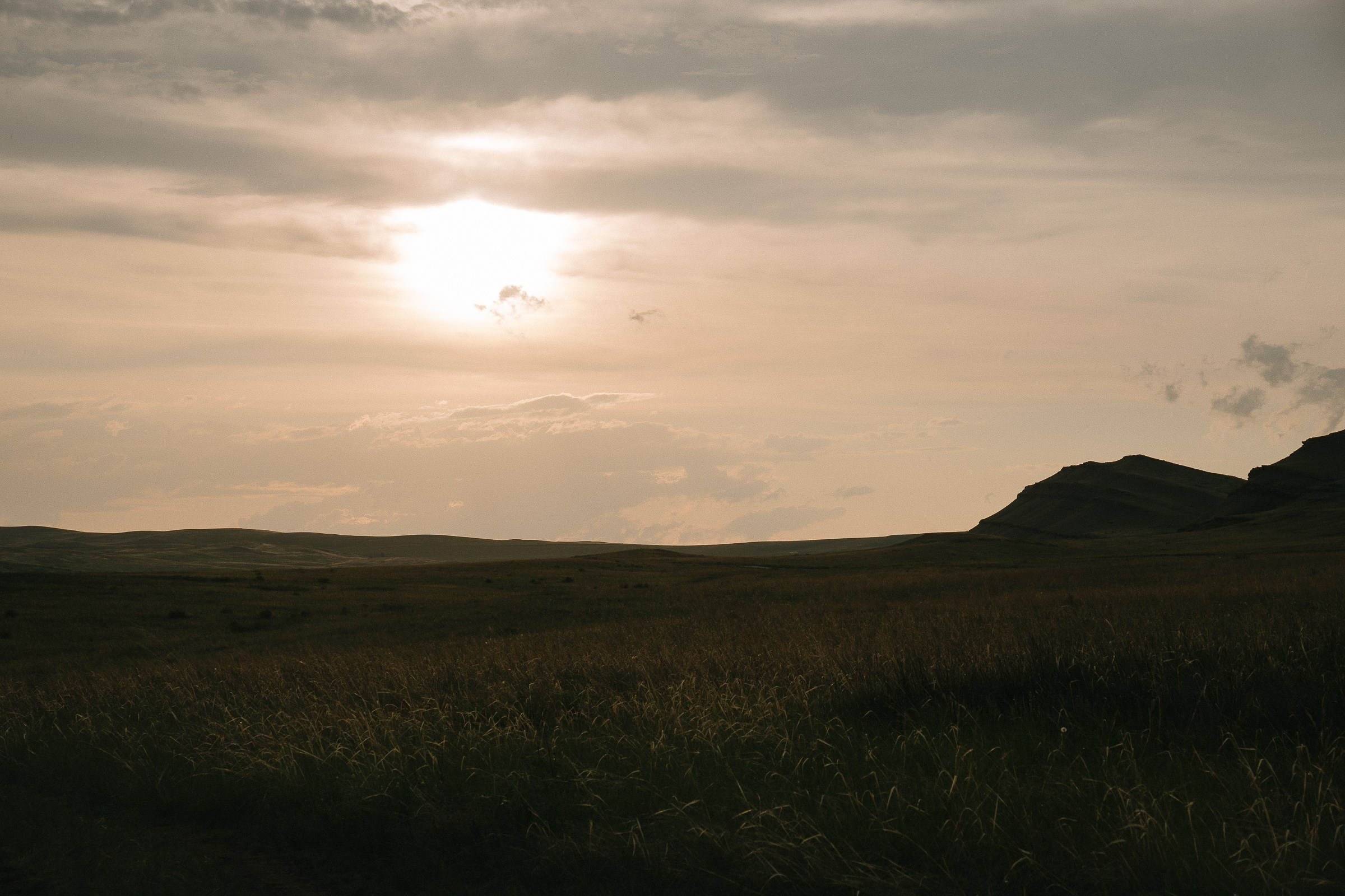 Совместное произведение…. Свадебный и семейный фотограф в Абакане Василевский Алексей