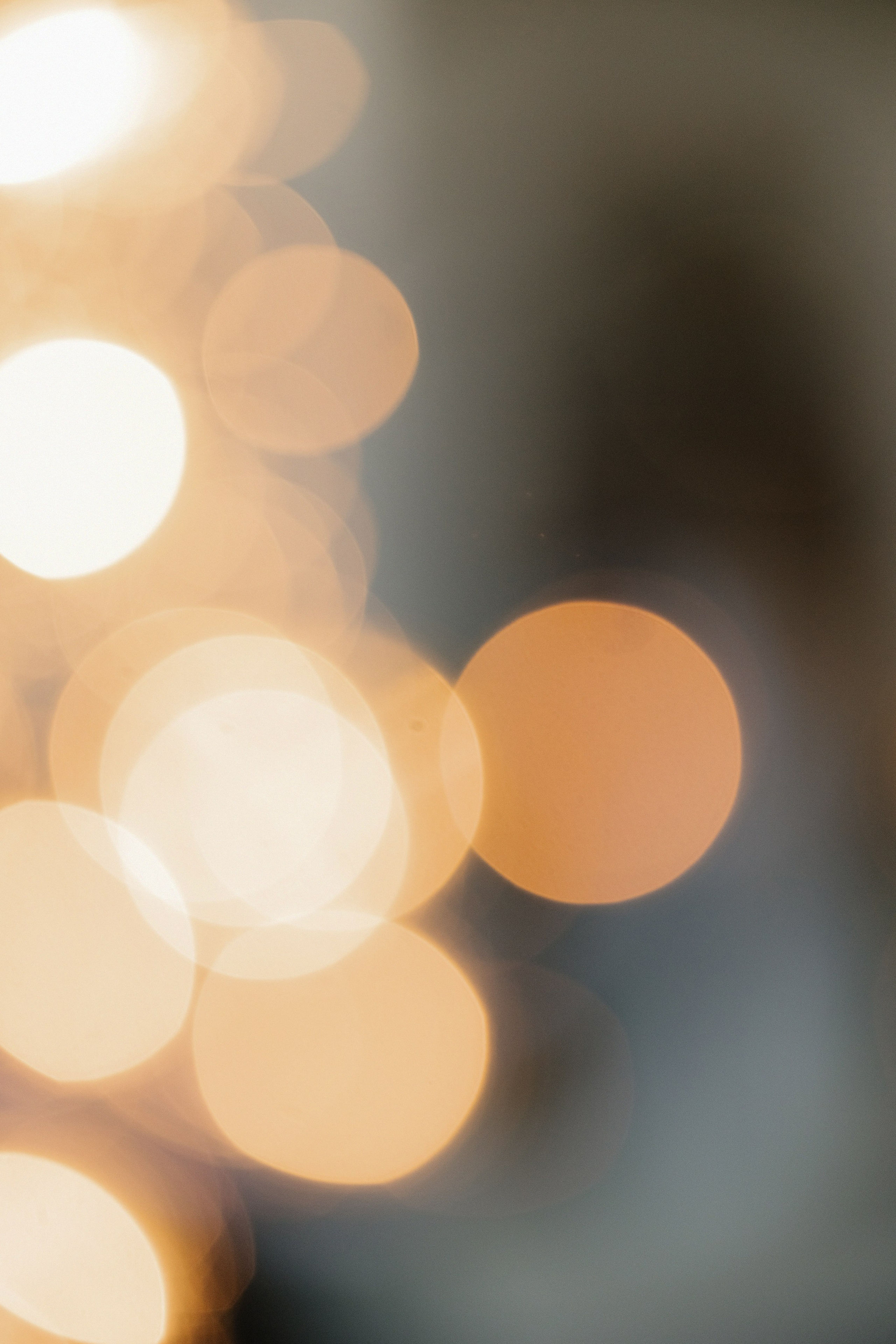 Наталья и Николай: Домик в саду. Свадебный фотограф Москва