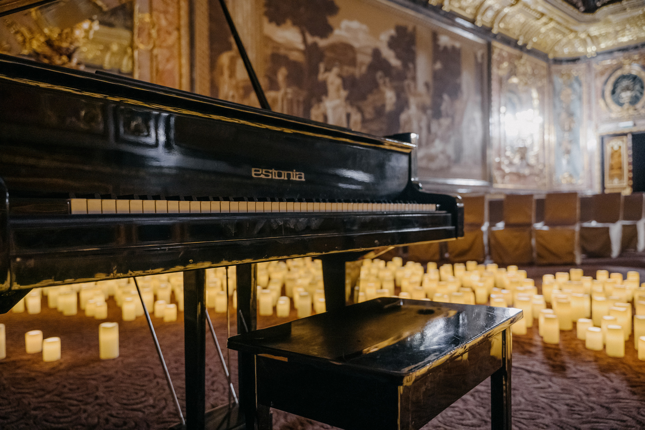 Concert at Polovtsov mansion. Svyatoslav Bunkov | photographer