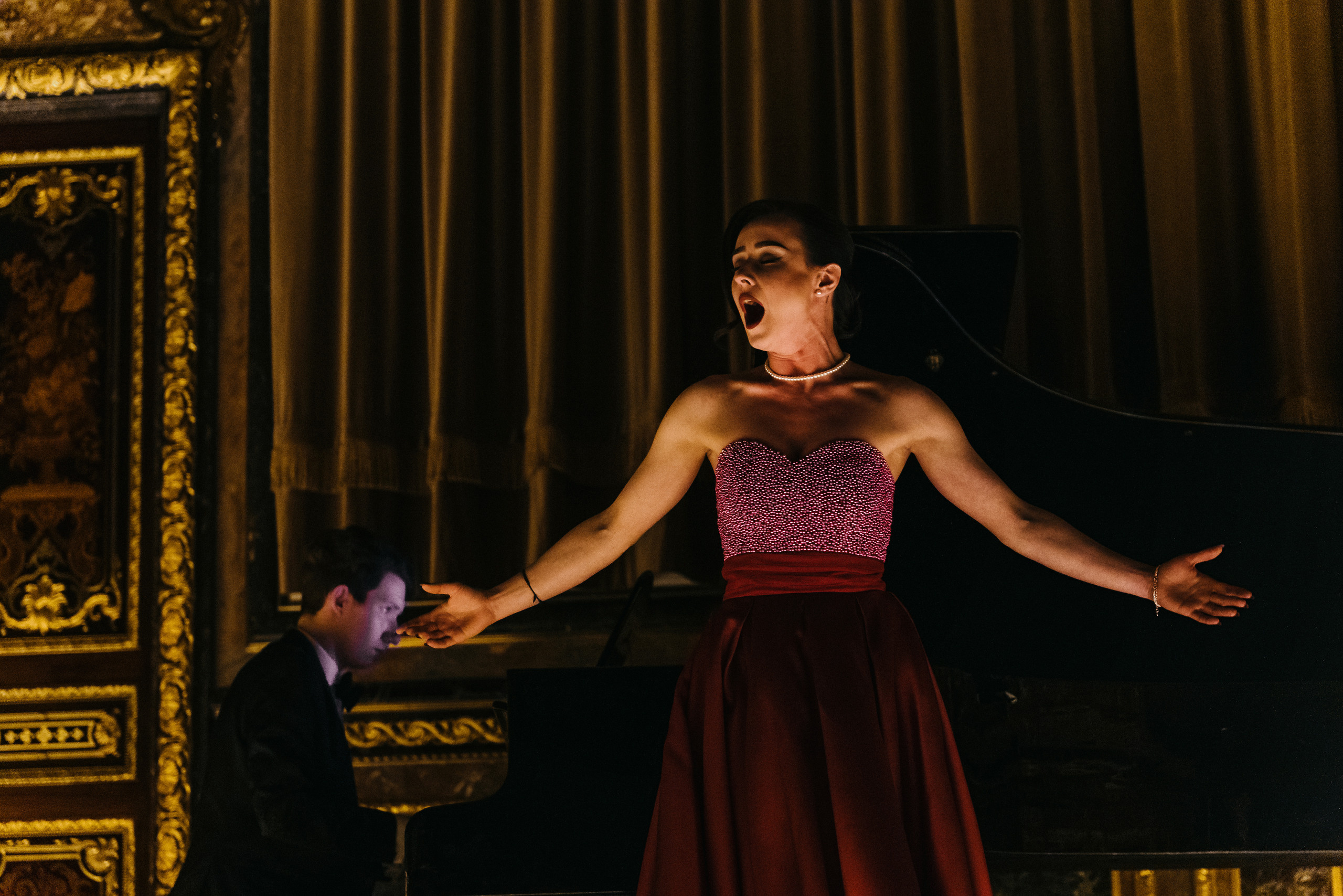 Concert at Polovtsov mansion. Svyatoslav Bunkov | photographer