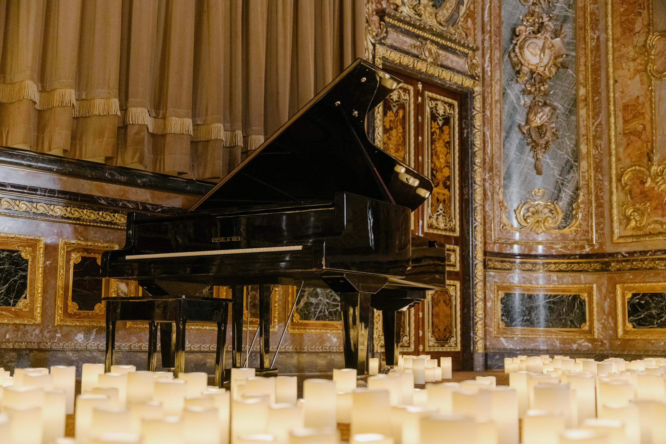 Concert at Polovtsov mansion. Svyatoslav Bunkov | photographer