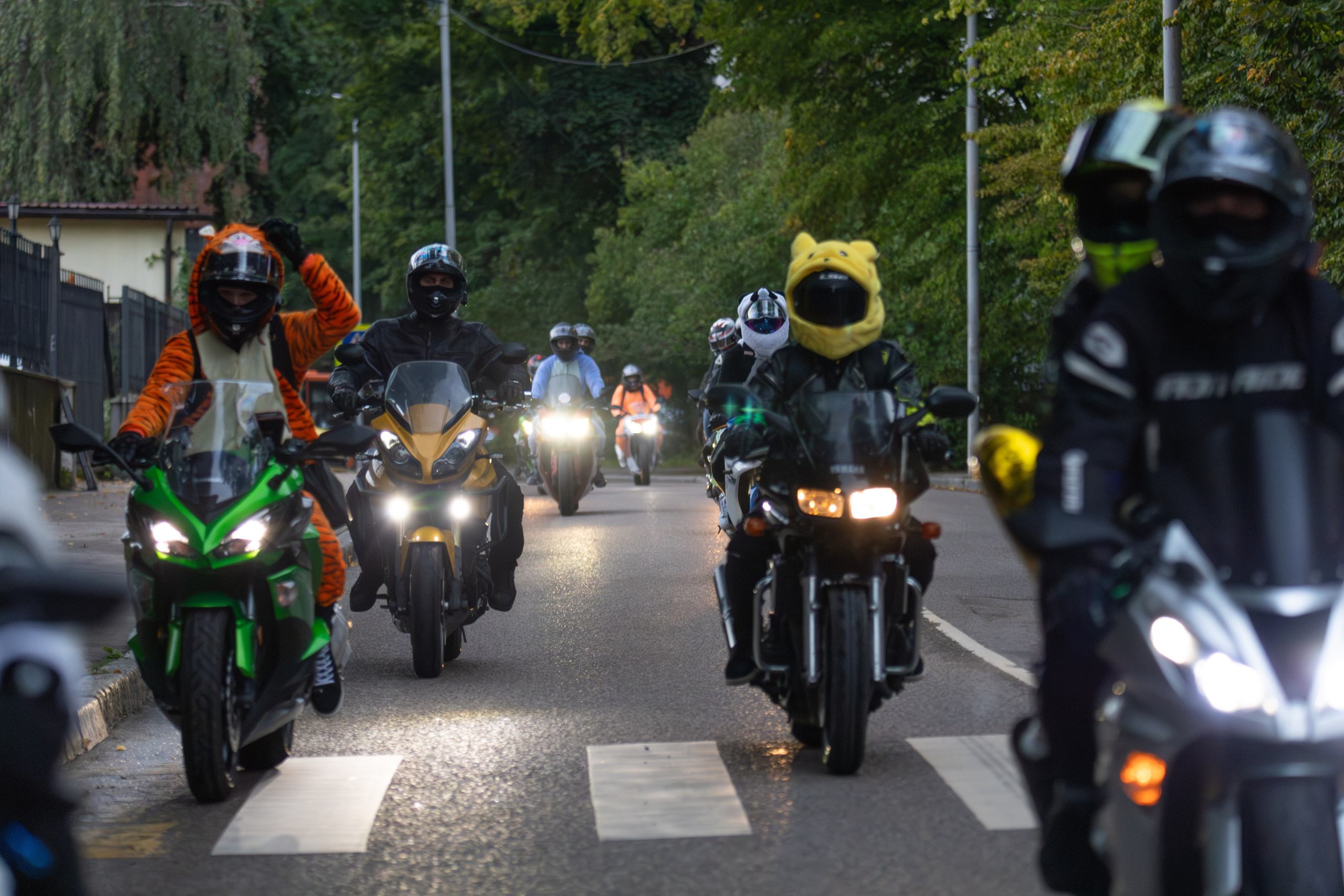 Закрытие Летнего сезона — 2025. — Digital Noise —