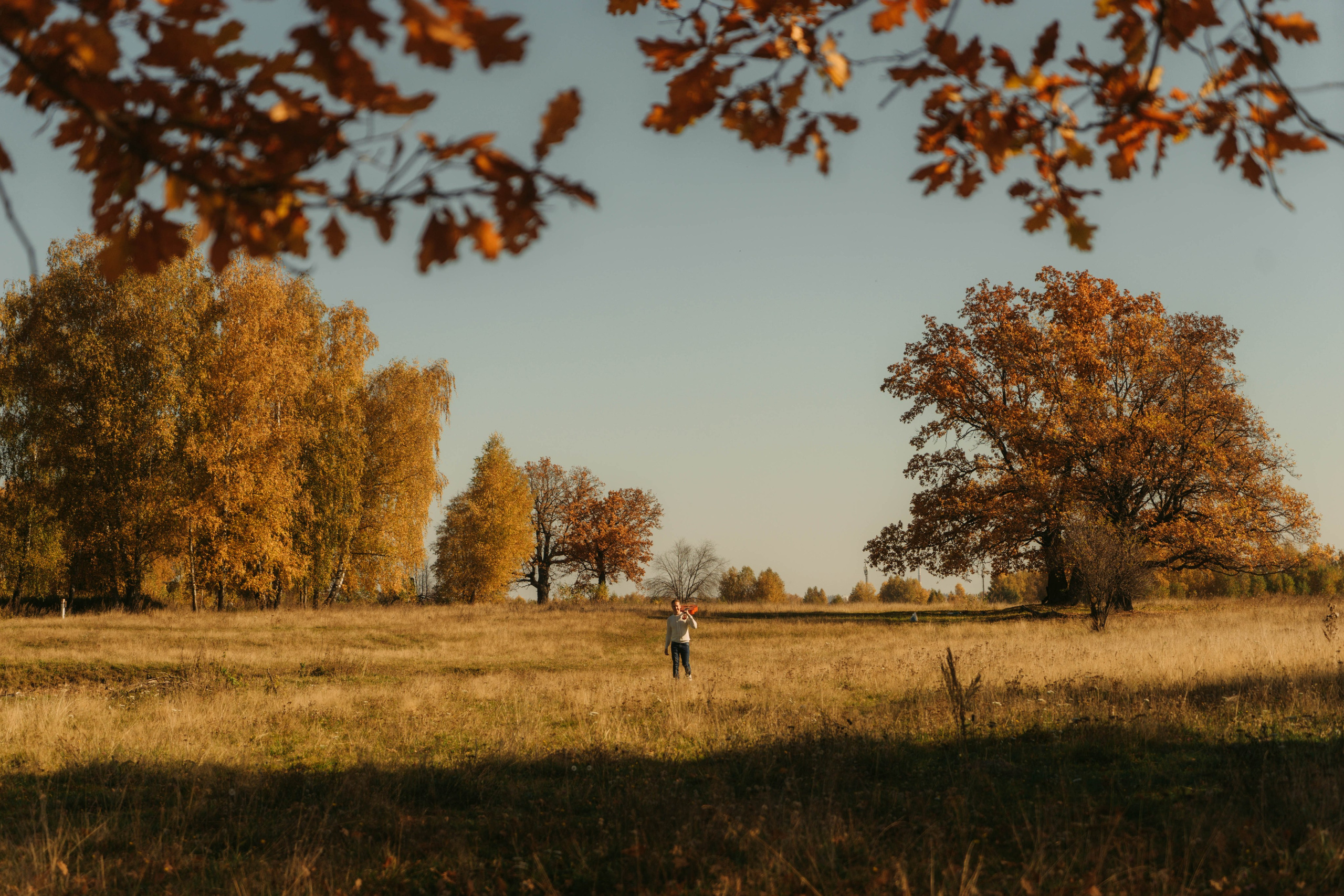 Купаясь в золоте. Olgamashh