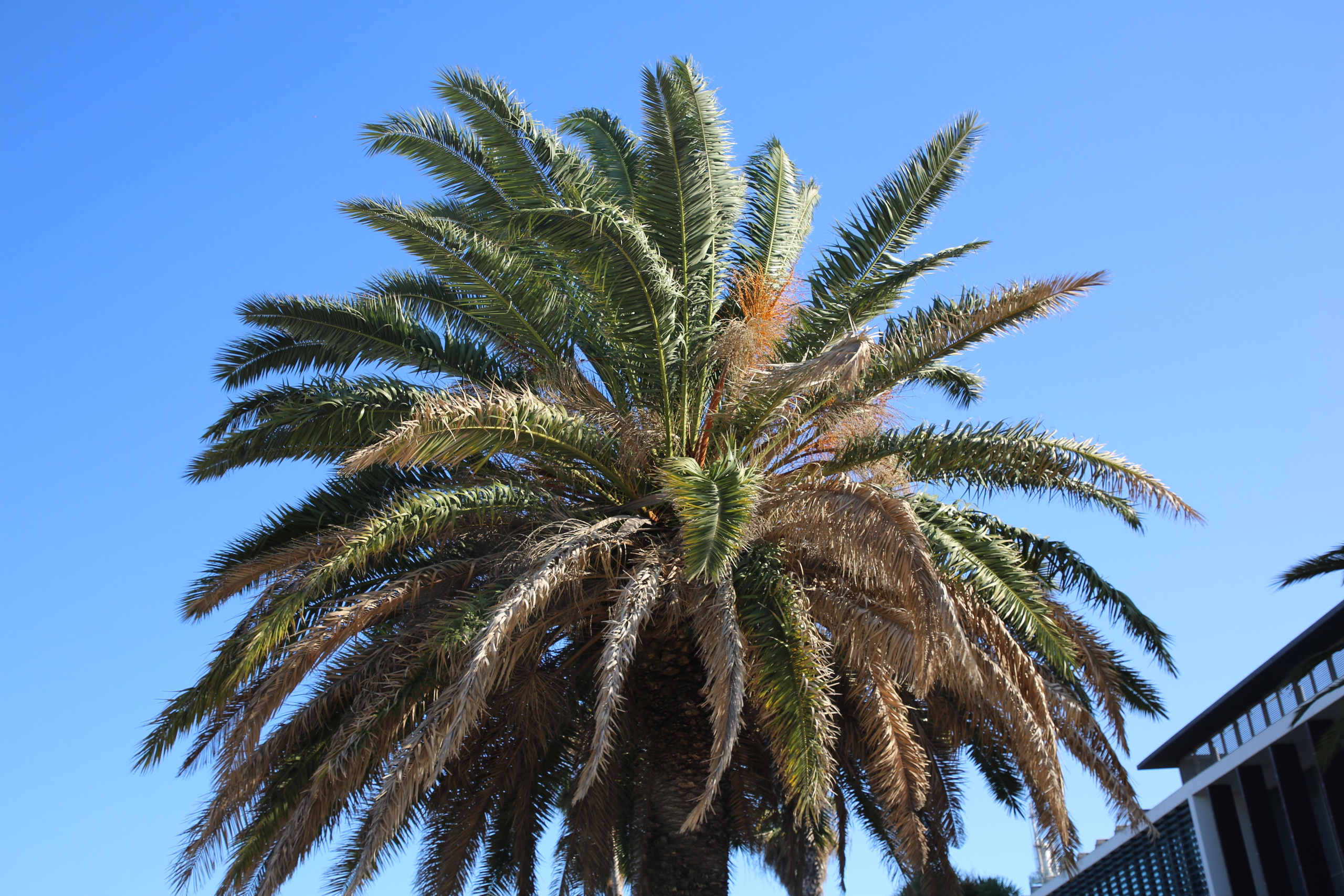 Lisbon, Portugal. Andrey Filippov Photographer