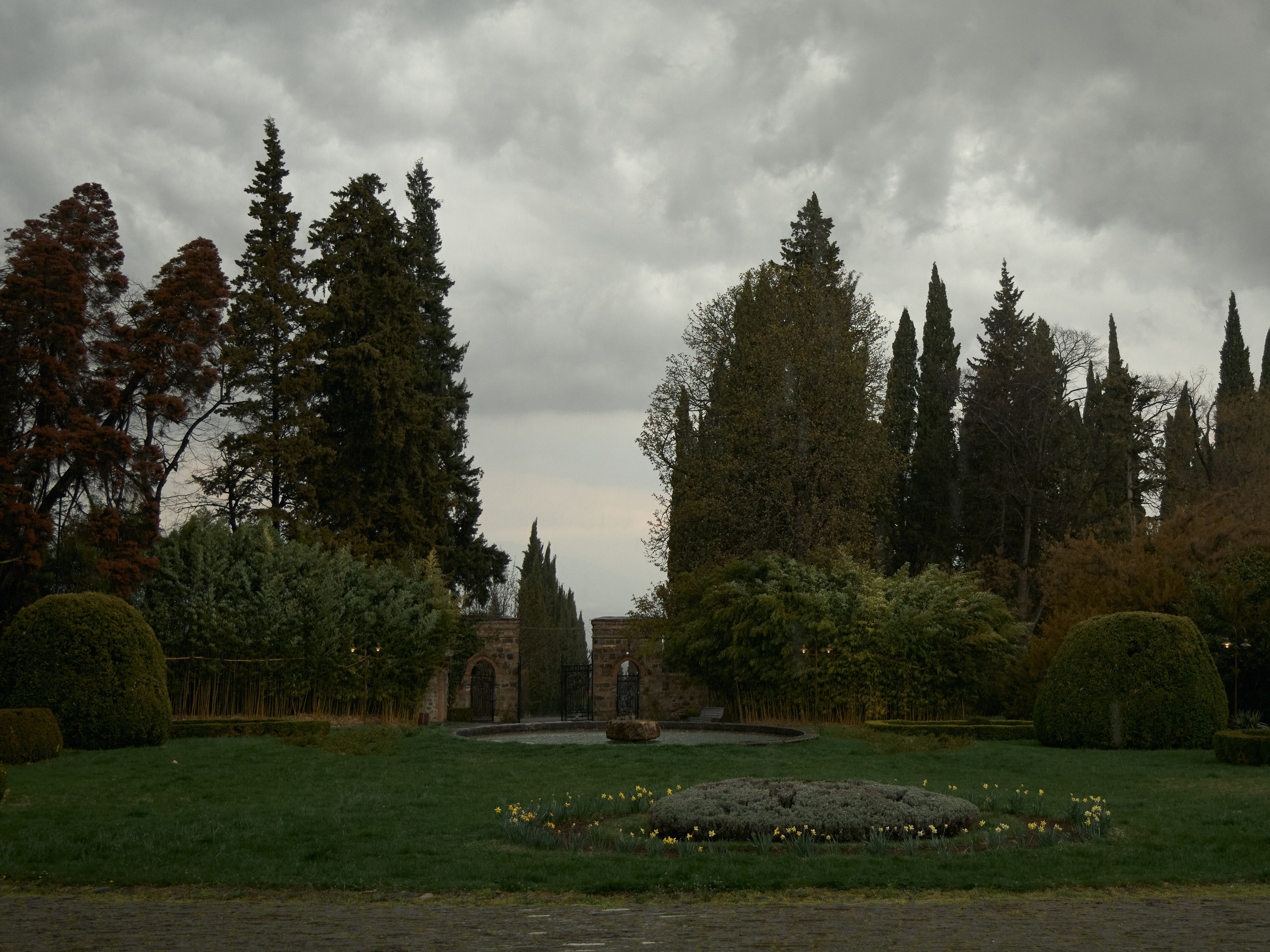 Давид и Милита