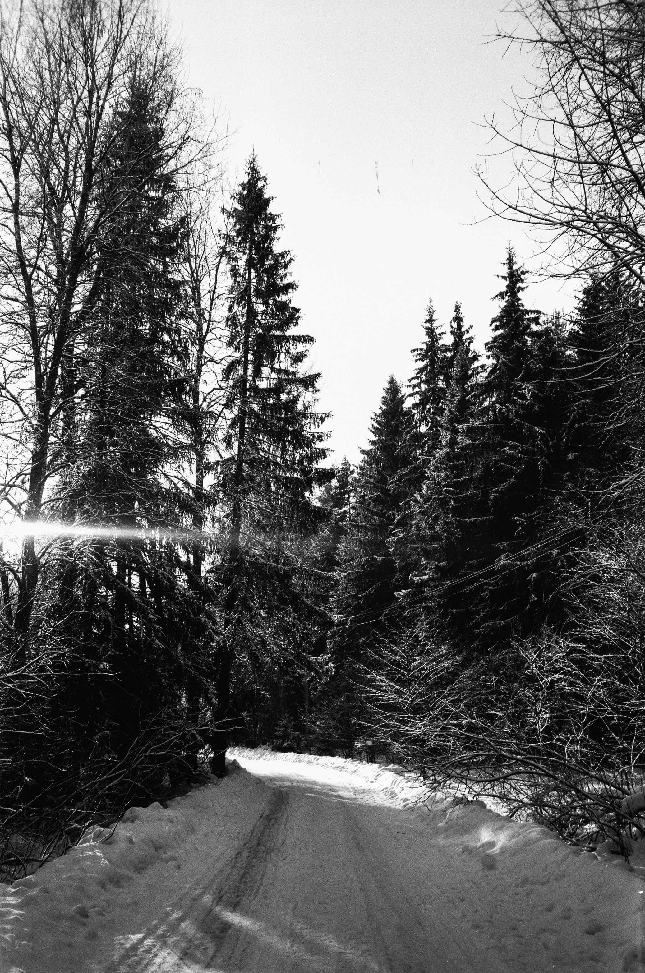 Nikon Action Touch (L35AW) / SFL T-25 / Давыдовское