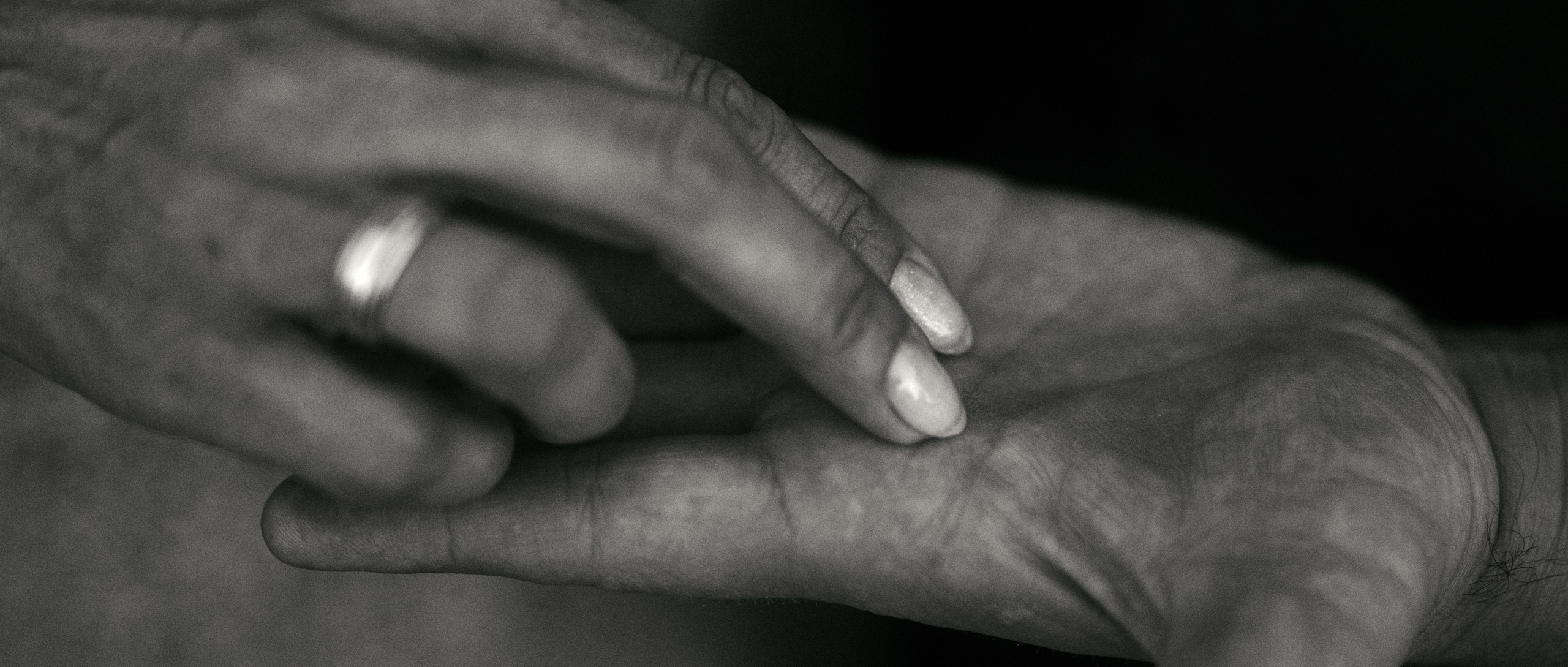 Нас окружает любовь. Сергей Горшенин — профессиональный фотограф