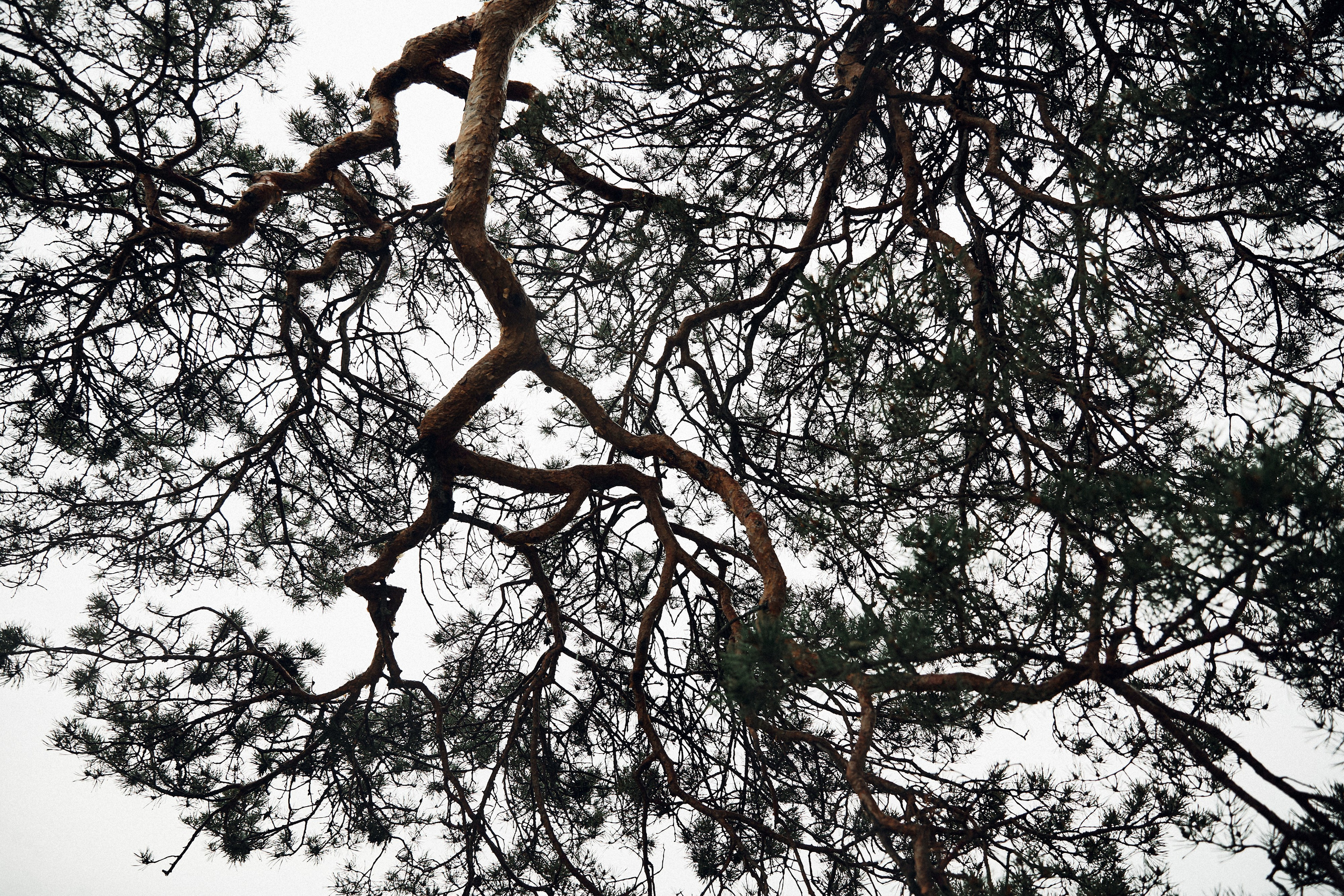 Konstantin & Daria. Event агентство PAPRIKA в Екатеринбурге