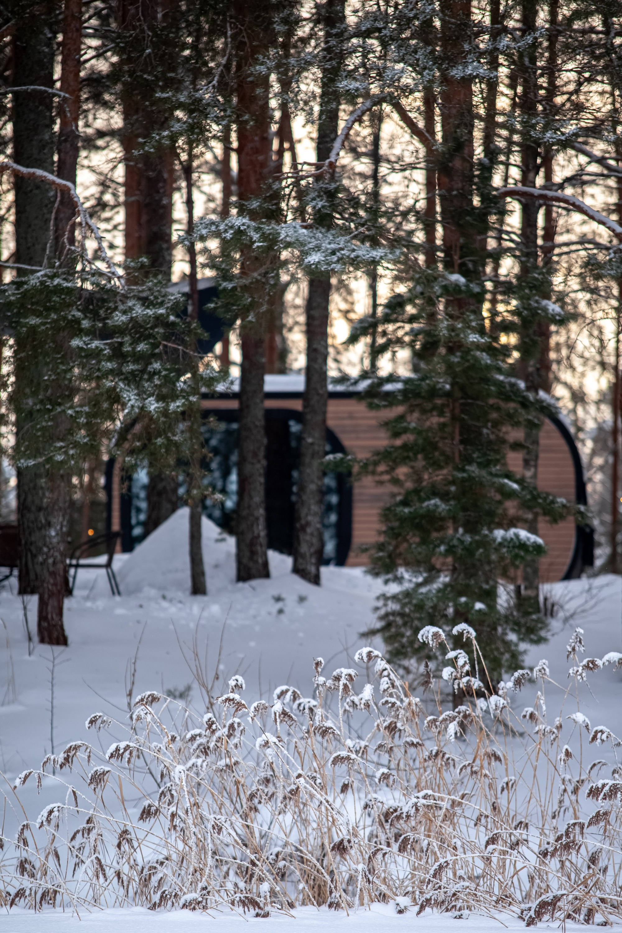 Выключить шум и услышать тишину, утихомирить свои мысли и приземлиться. В фокусе- человек и его состояние!. Туманов Виталий — фотограф Москва