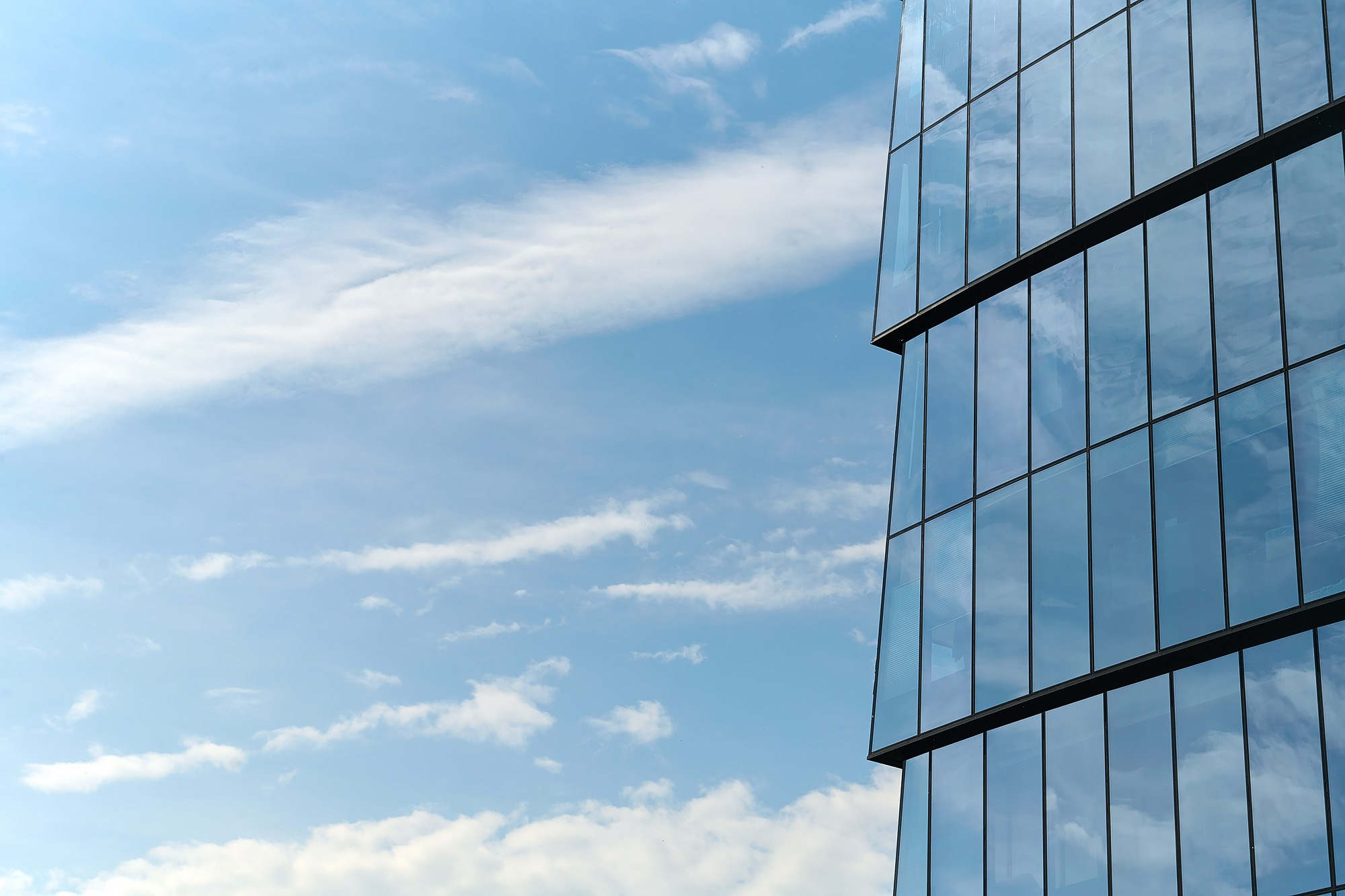 Lady and gentleman city. Репортажный фотограф в Москве Вадим Францев