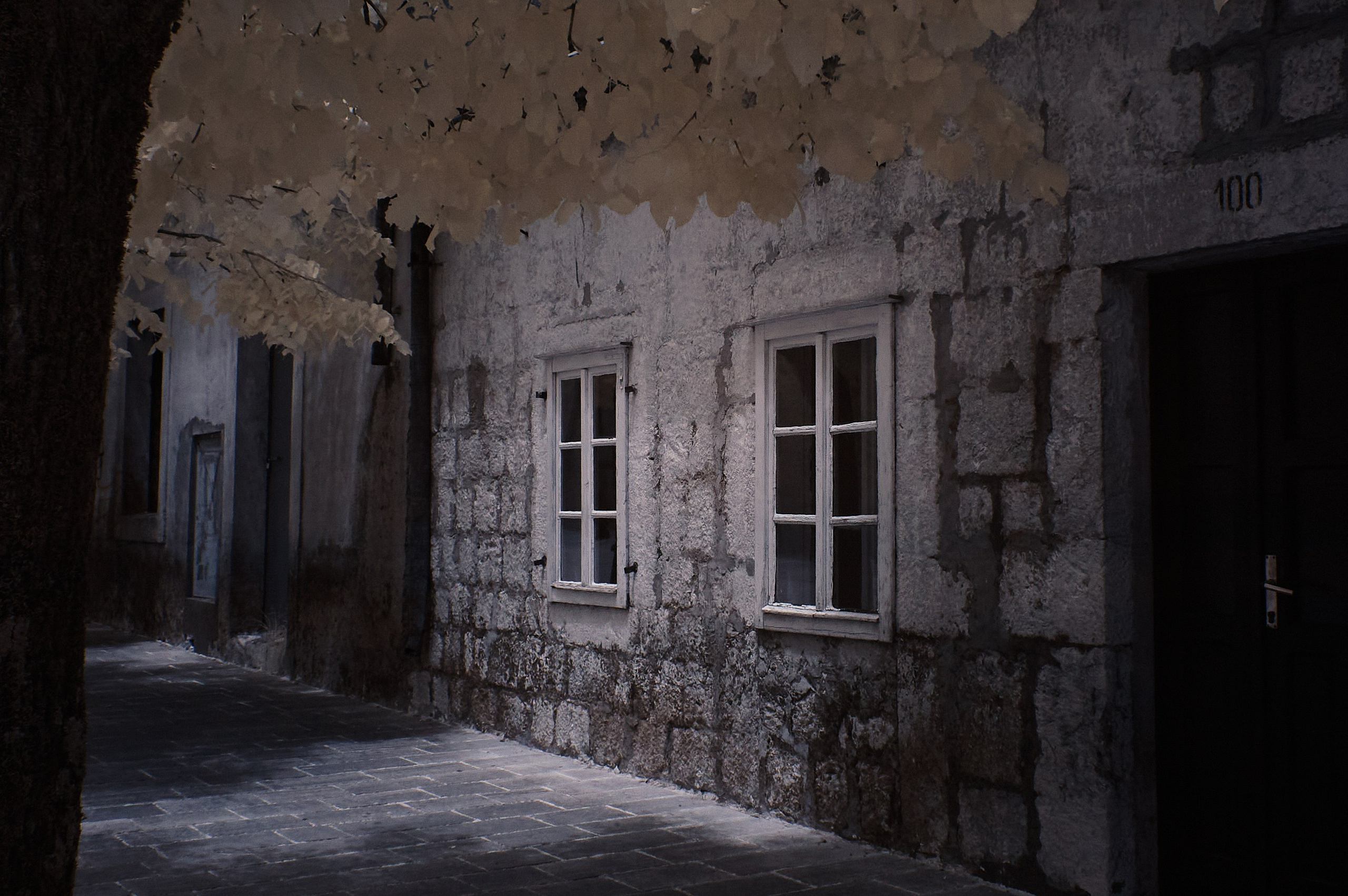 Infrared Photography. Solofilms