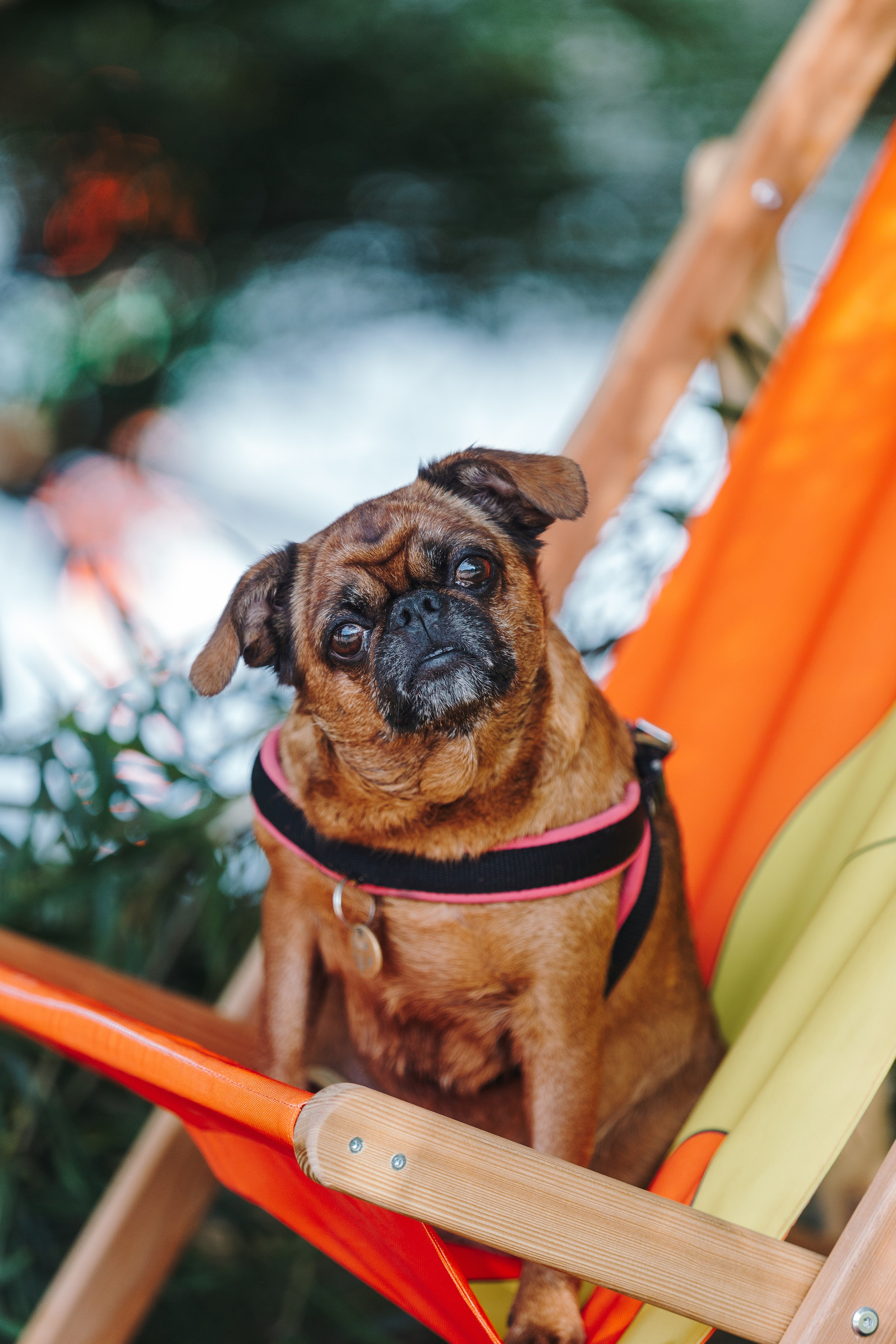 Petshop Sup day. Фотограф анималист Кристина Карпова, Москва