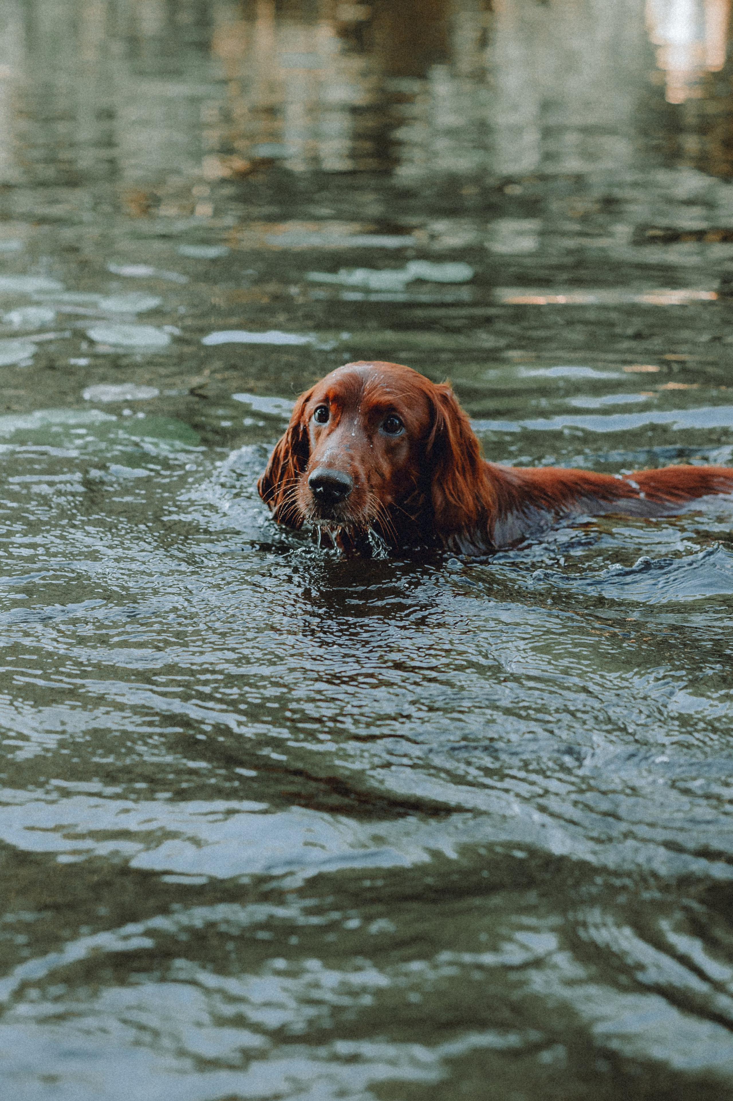 Маша и Джерри