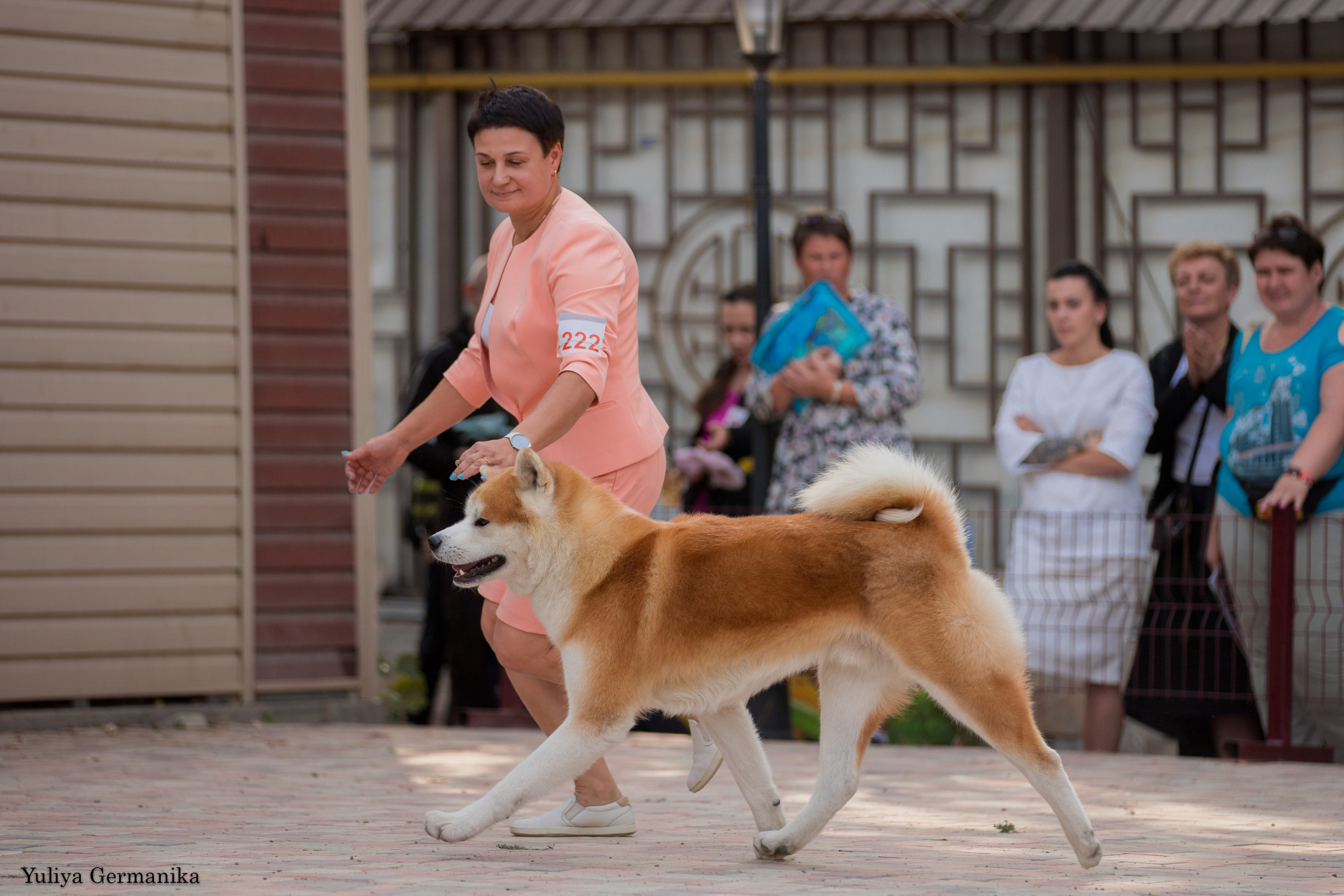 Ташкент 6-8.10.2023 + Алматы 14-15.10.2023. Фотограф-анималист Юлия Германика