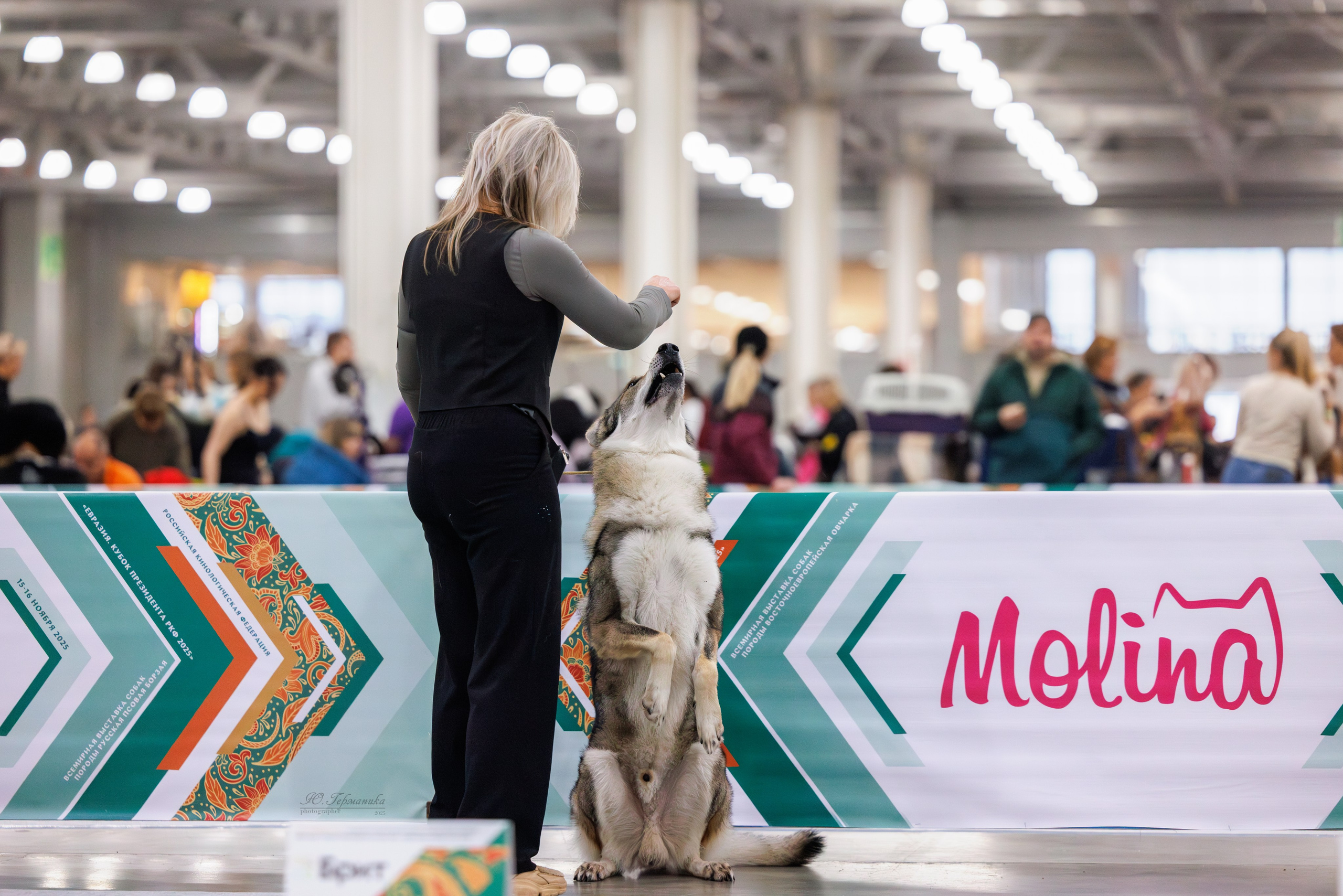 Евразия 15-16.11.2025. Фотограф-анималист Юлия Германика