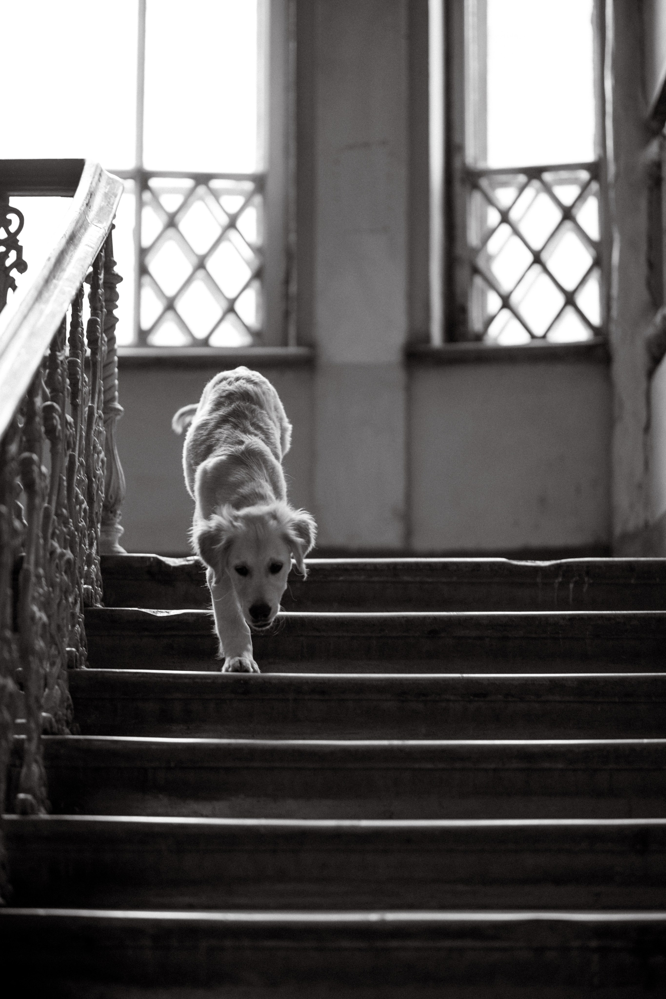 День рождения в Доме Липы. Анастасия Мелёхина Фотограф Москва, Свадебный фотограф Москва