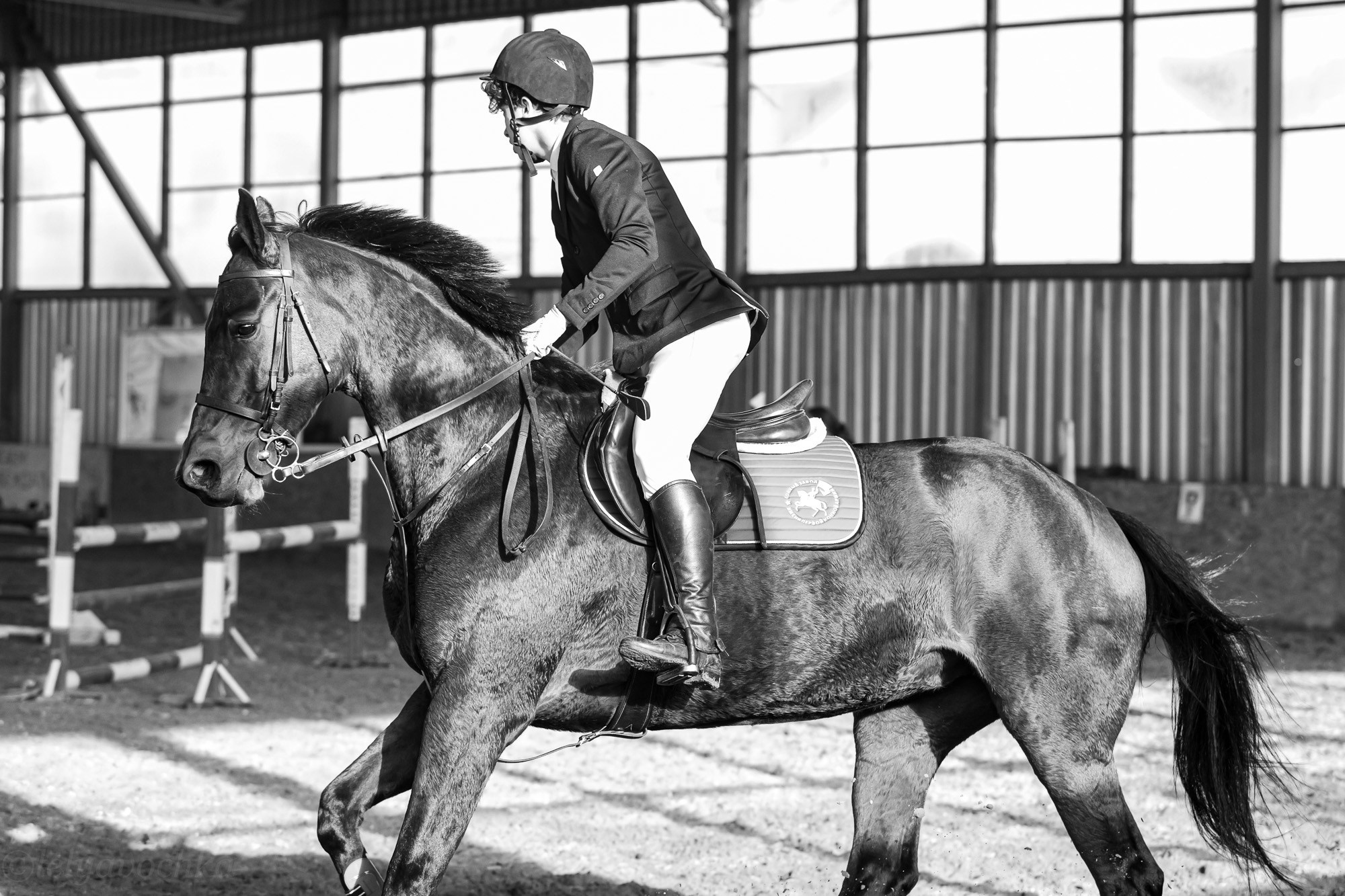Конкур. Счастливый фотограф Елена Лелявочка