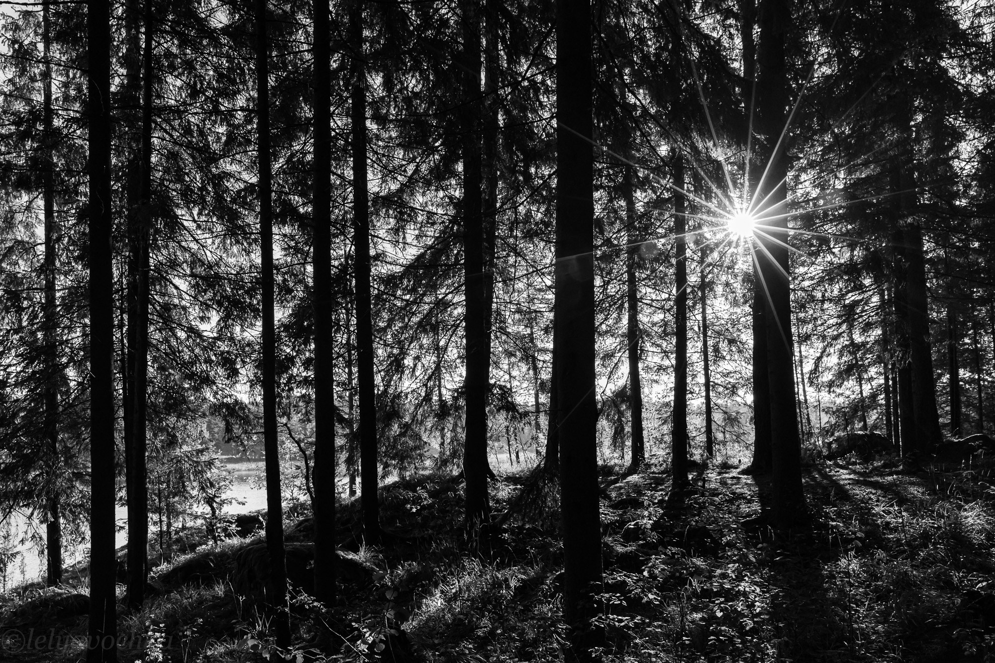 Карельская сказка. Счастливый фотограф Елена Лелявочка