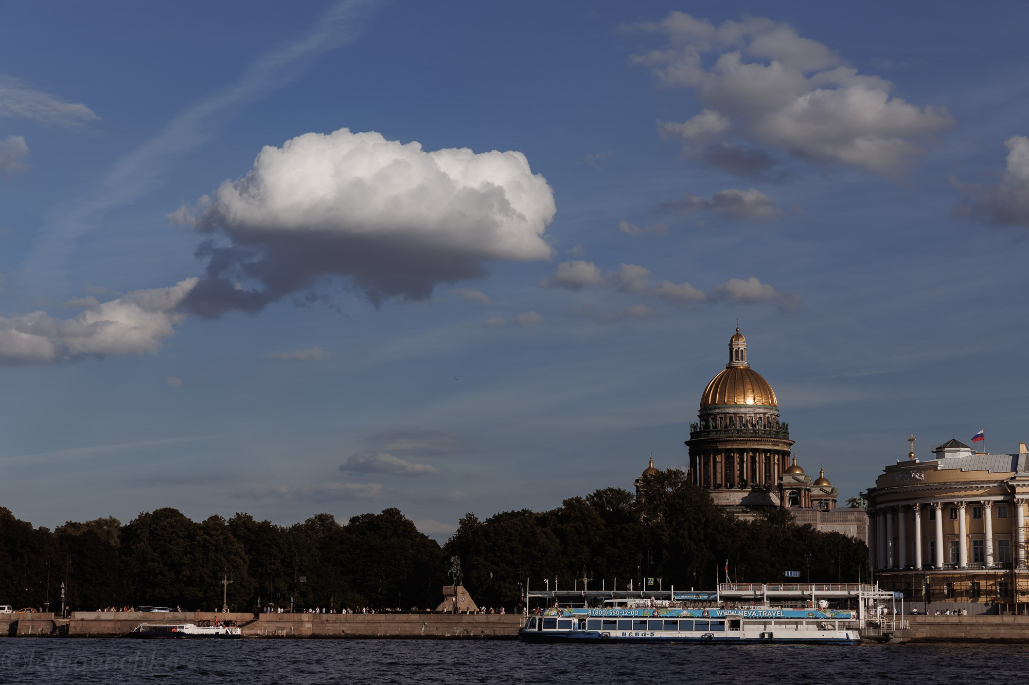 Свадебные Дарья и Антоний. Счастливый фотограф Елена Лелявочка