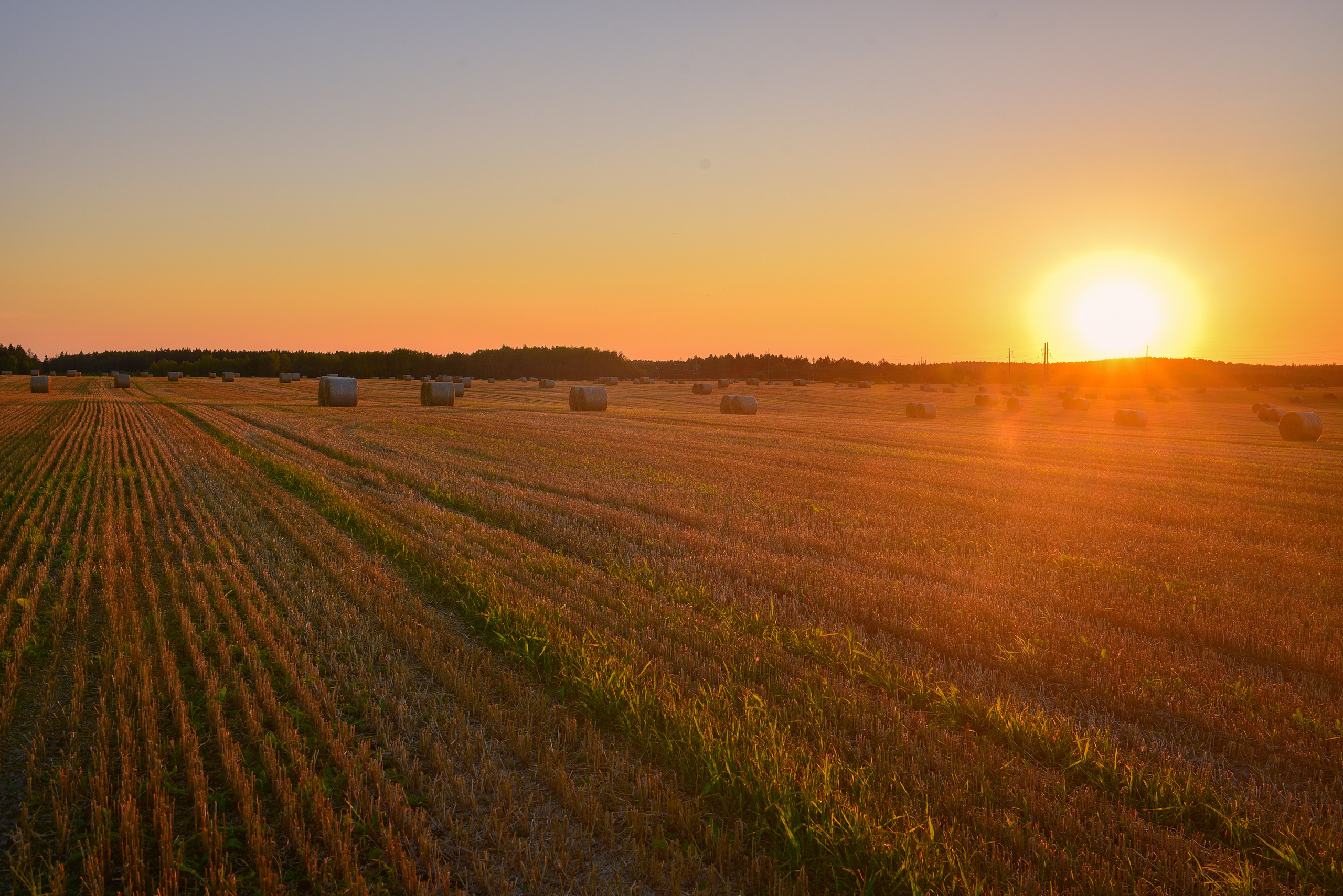 В моем портфолио вы найдете лучшие работы, которые демонстрируют мой стиль. Фотоуслуги, услуги фотографа, фотографирование важных событий