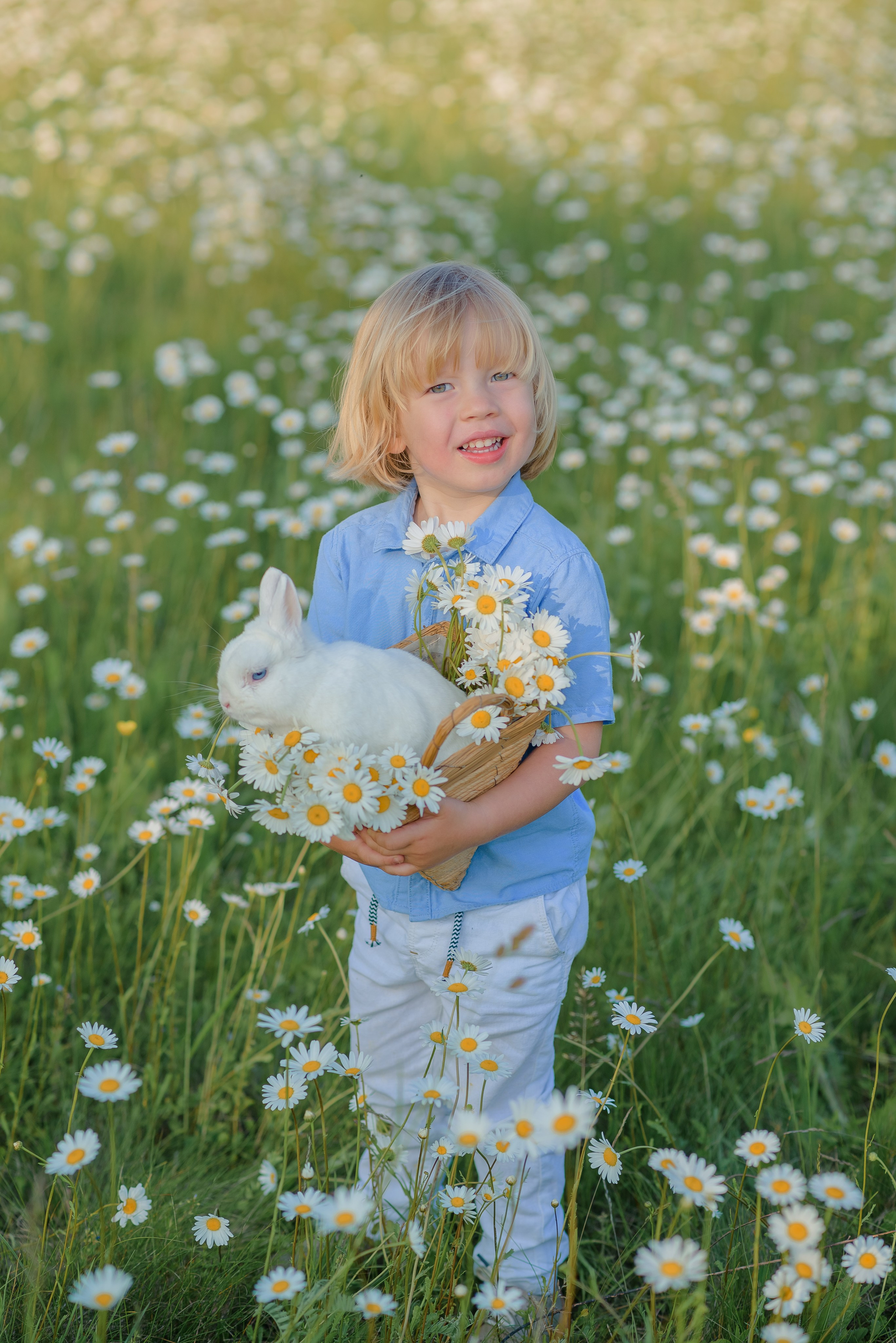 Ромашковое поле. Семейный фотограф в Рязани Мария Ермакова