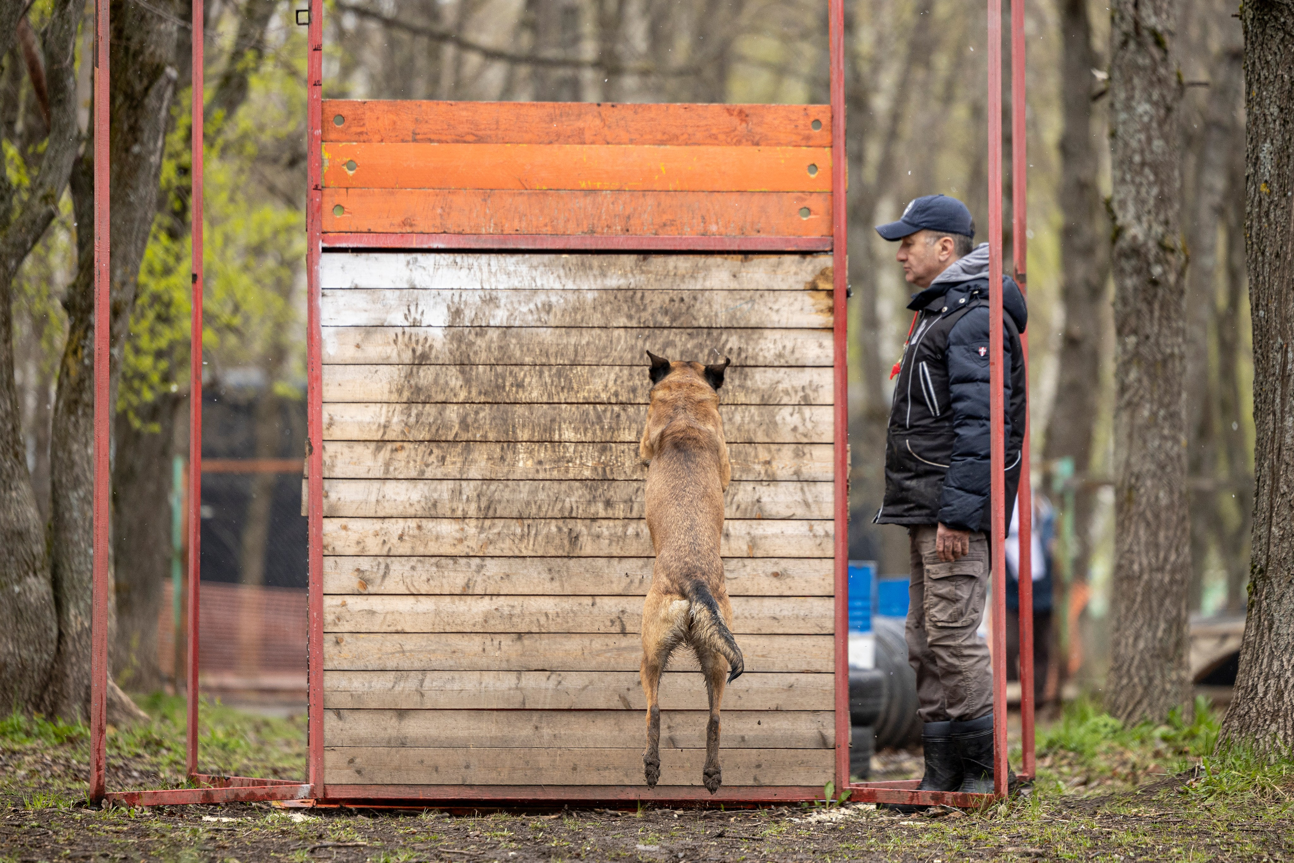Квалификационные состязания по мондьорингу г. Вологда 11.05.24. Фотограф-анималист Анна Маринич