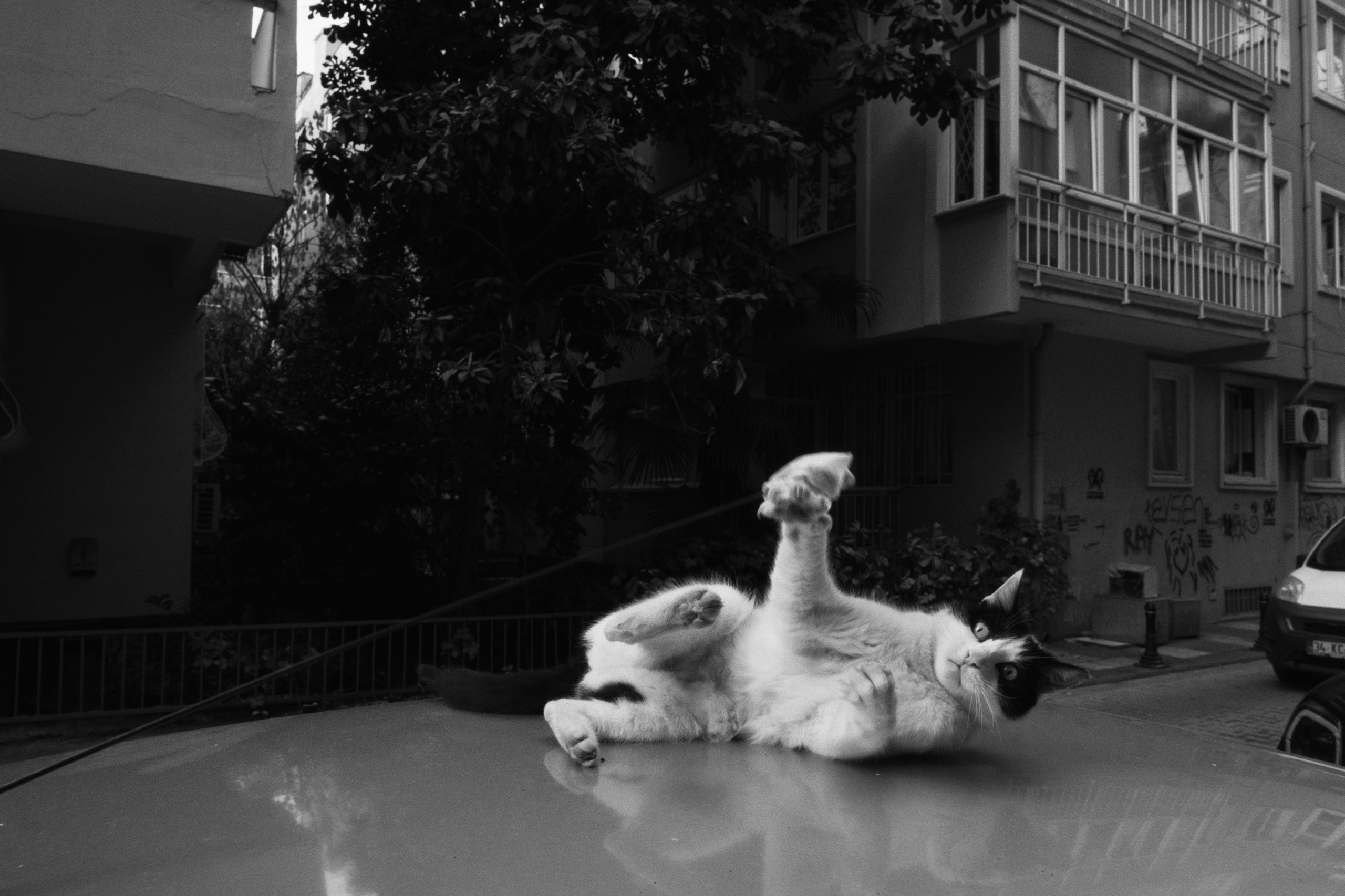 Kadikoy x Moda, Istanbul / Türkey AW25. Фотограф Юрин Евгений