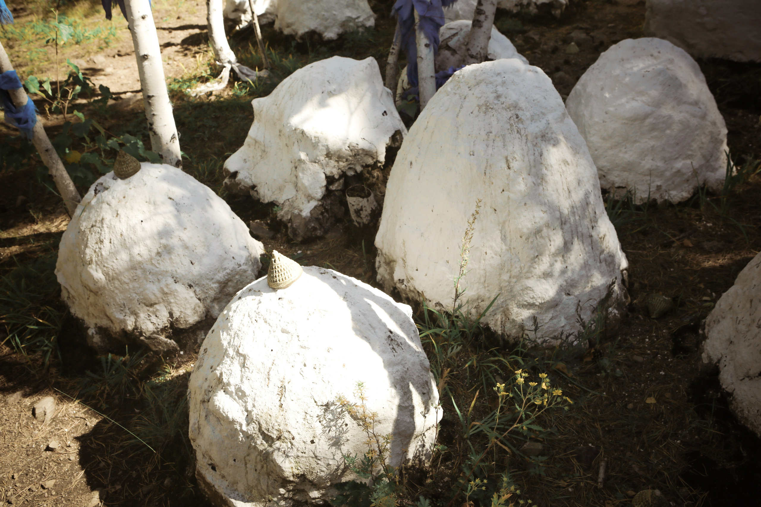 Фото Природы Забайкалья. Студия Максима Белослюдцева