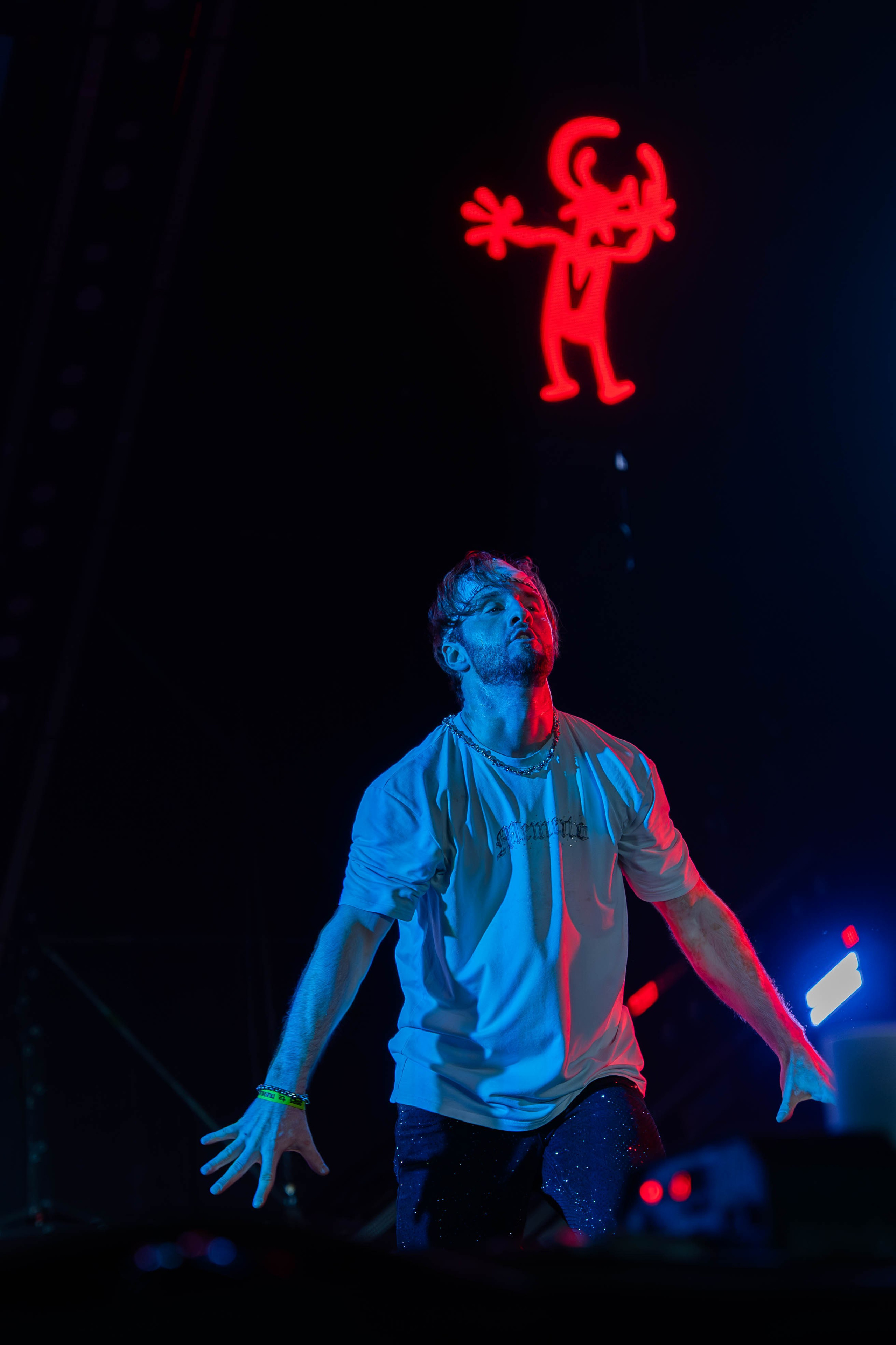 Галерея. Beardy Pix