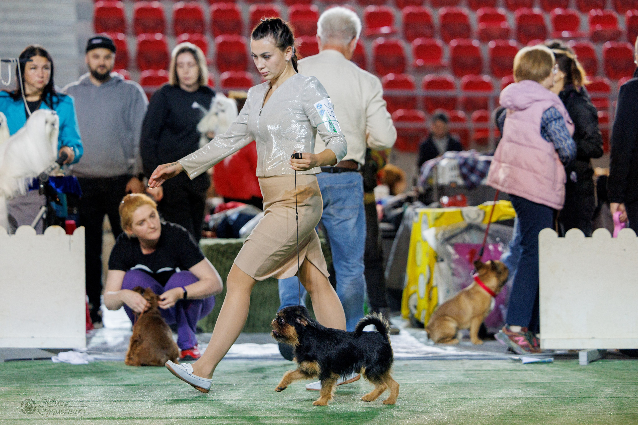 Грузия,Телави 2хCACIB 19-20.10.2024. Фотограф-анималист Юлия Германика